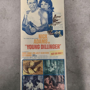 Young Dillinger - Inserts