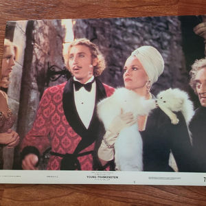 Young Frankenstein - General Lobby Cards