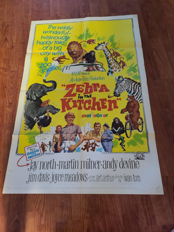 Zebra in the Kitchen - 1 Sheets/US