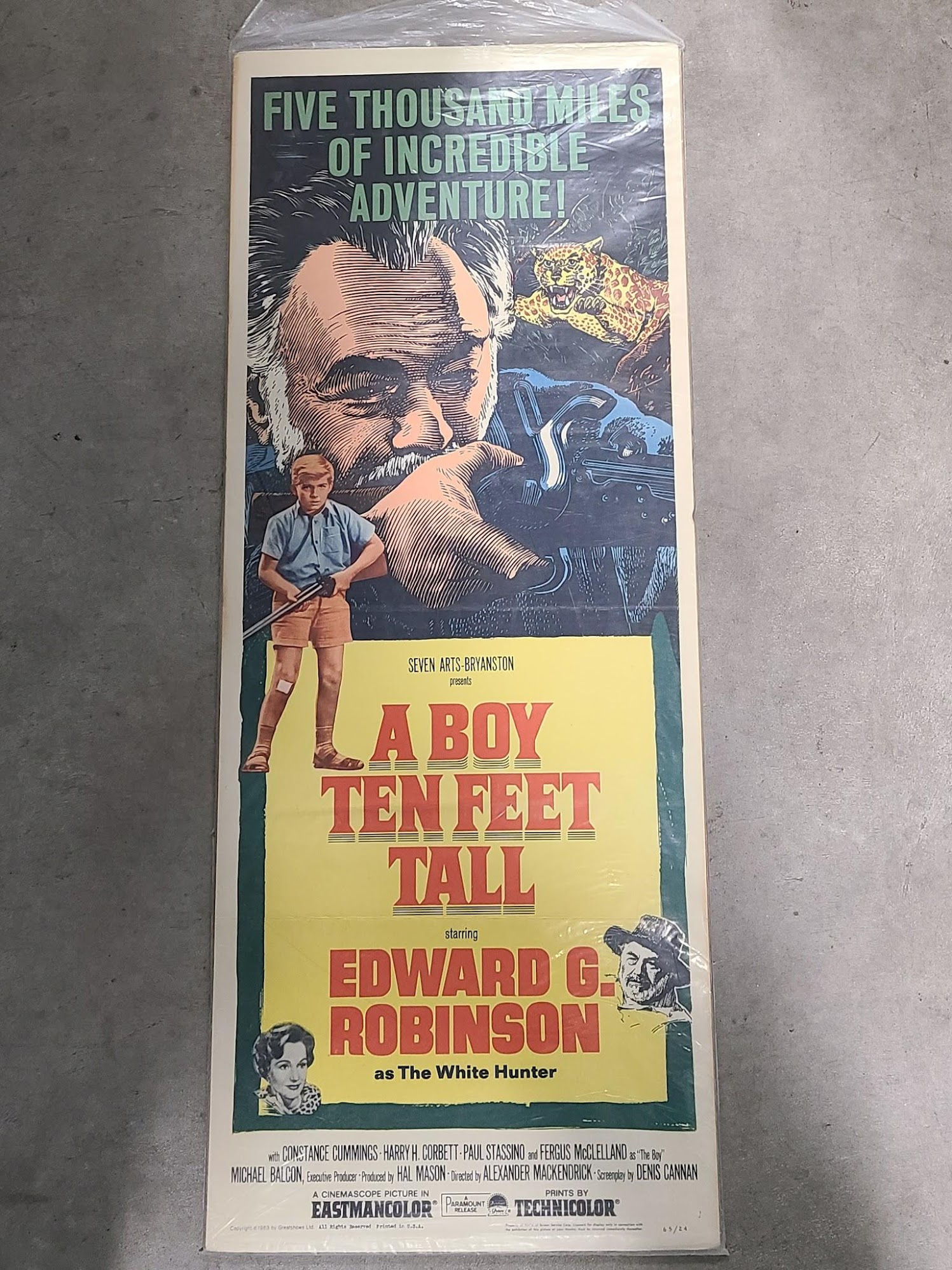 A Boy Ten Feet Tall 1965 Inserts
