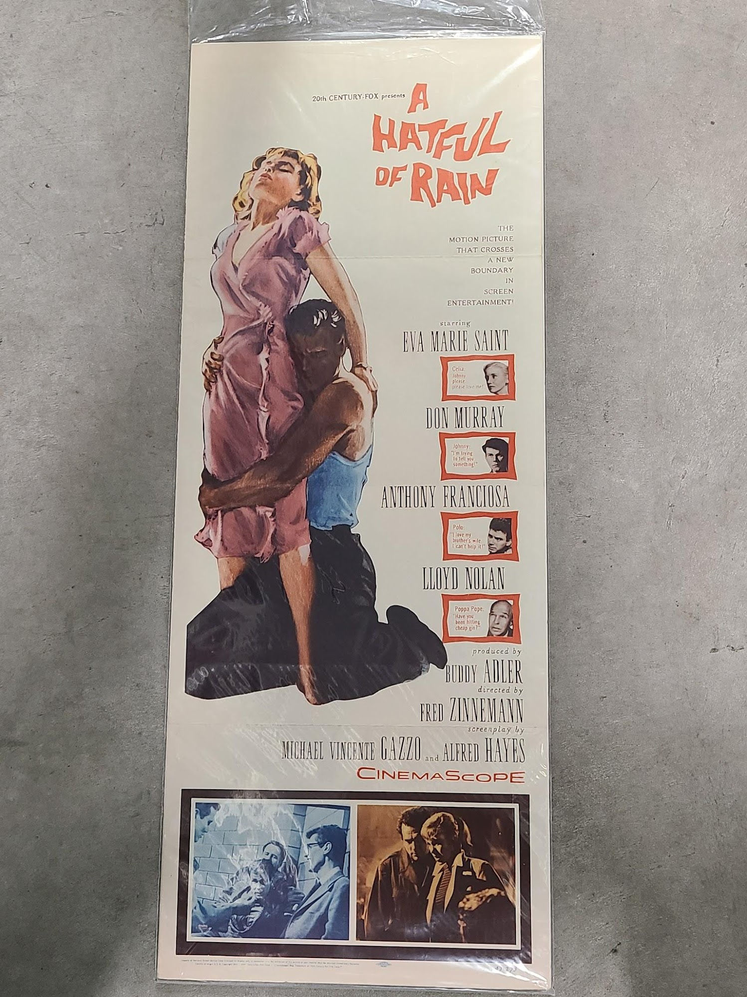 A Hatful Of Rain 1957 Inserts