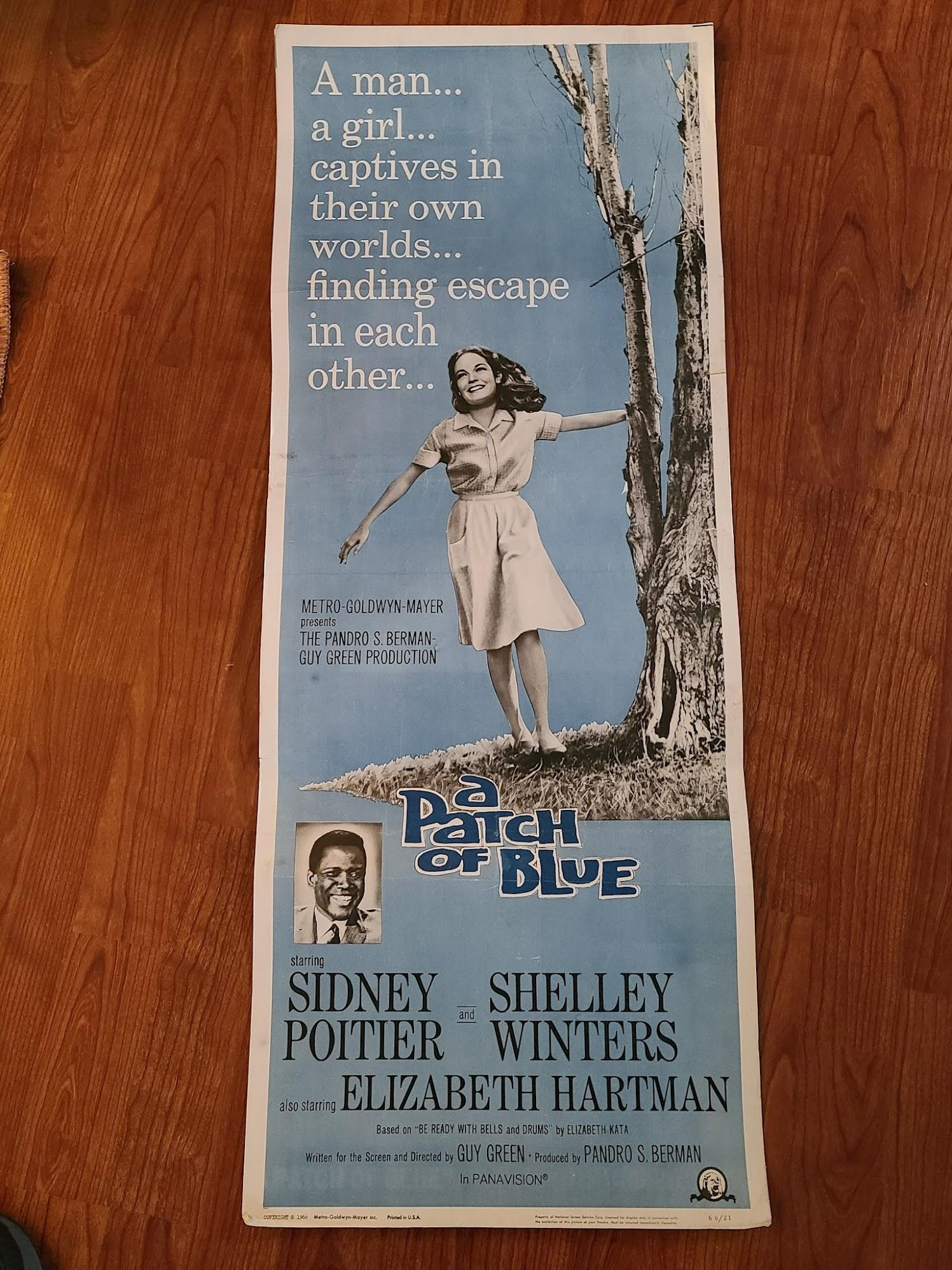 A Patch Of Blue 1965 Inserts