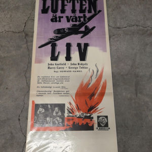 Air Force 1943 Swedish Slope