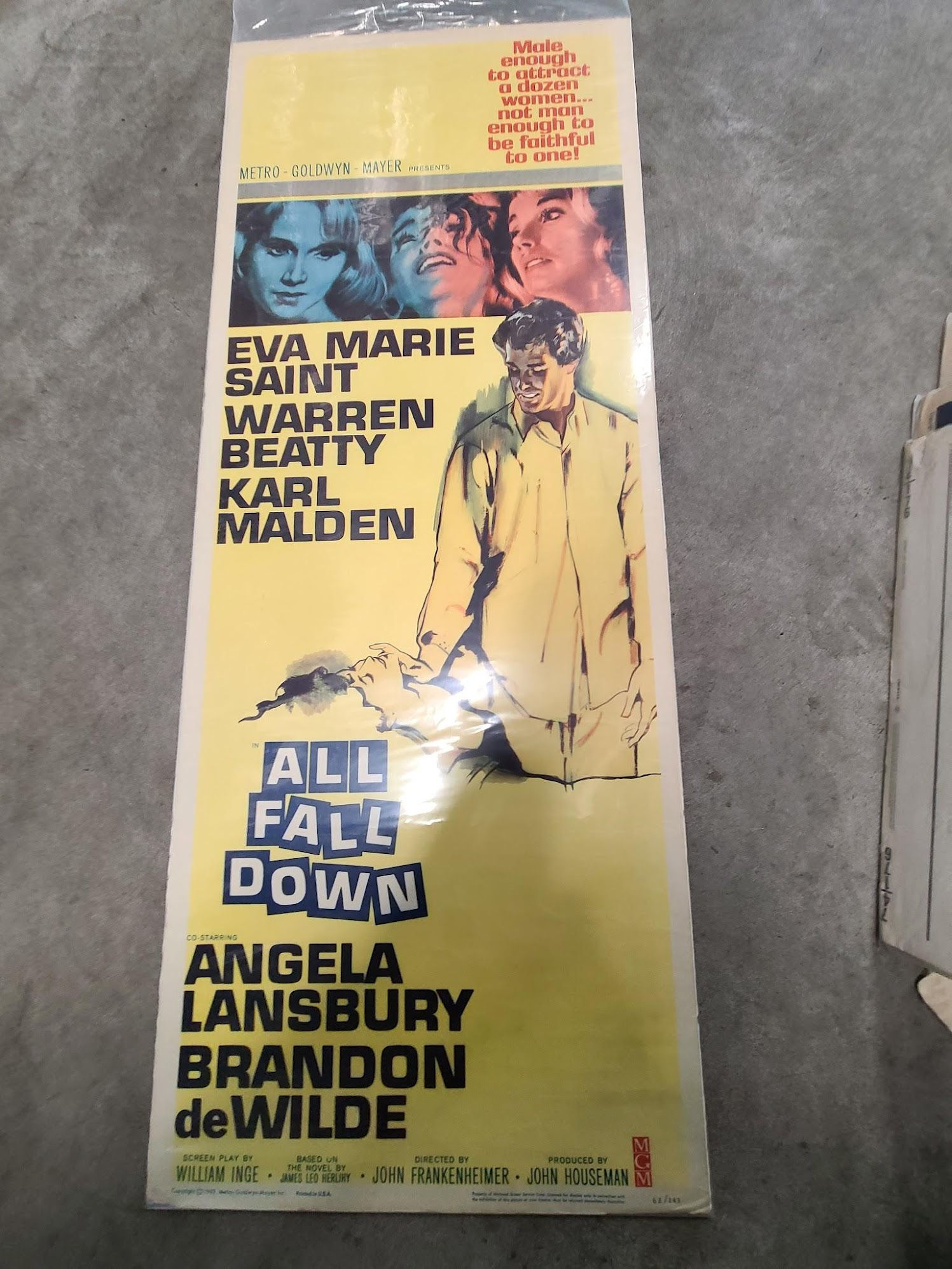 All Fall Down 1962 Inserts