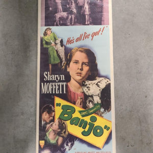 Banjo 1947 Inserts