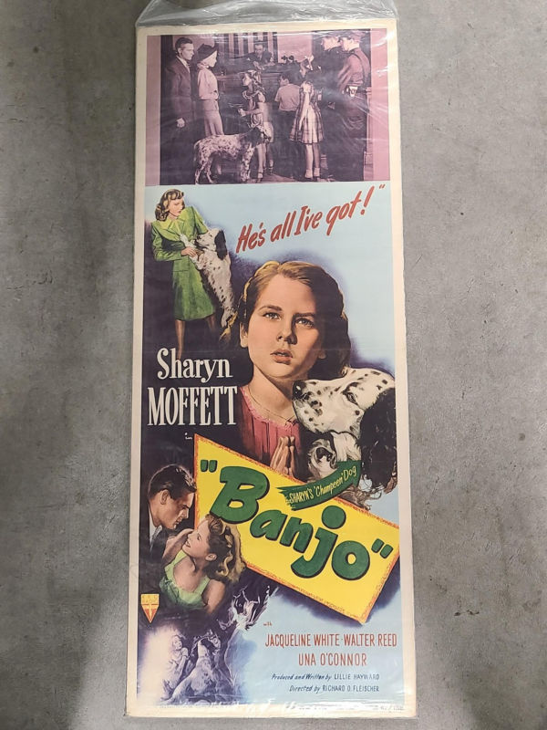 Banjo 1947 Inserts