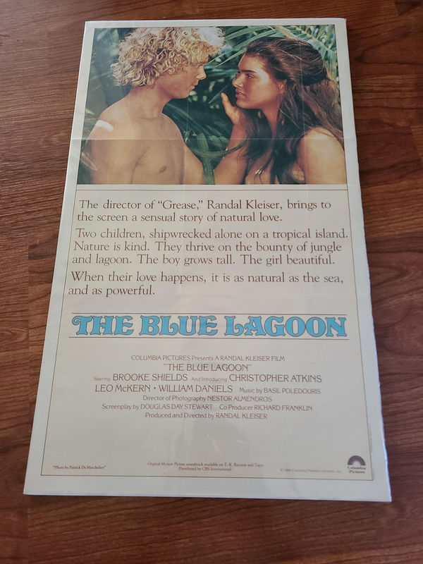Blue Lagoon 1980 Window Cards