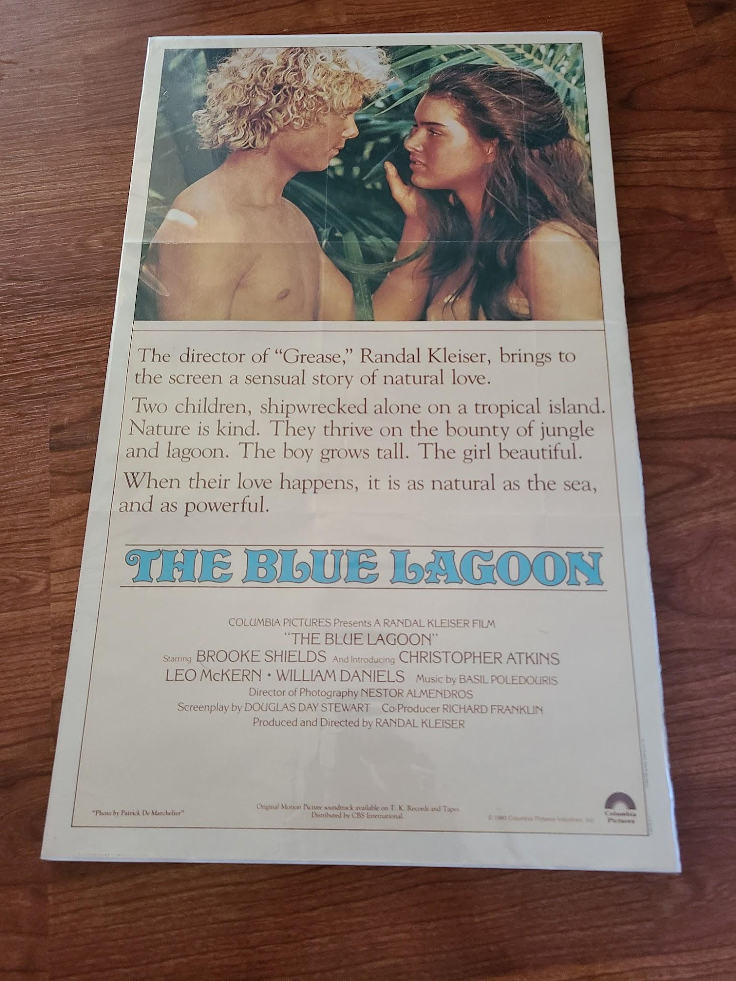 Blue Lagoon 1980 Window Cards
