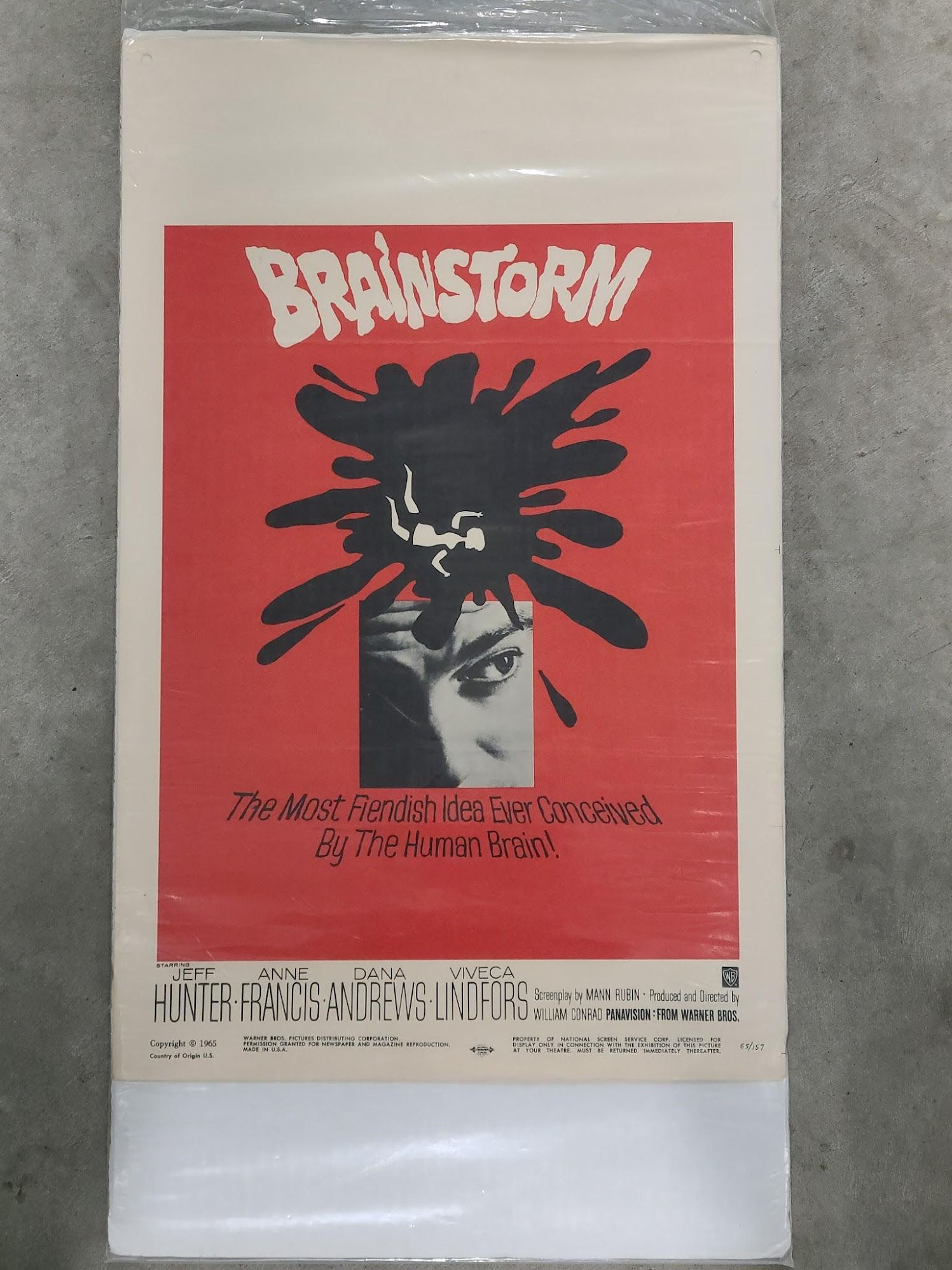 Brainstorm 1965 Window Cards