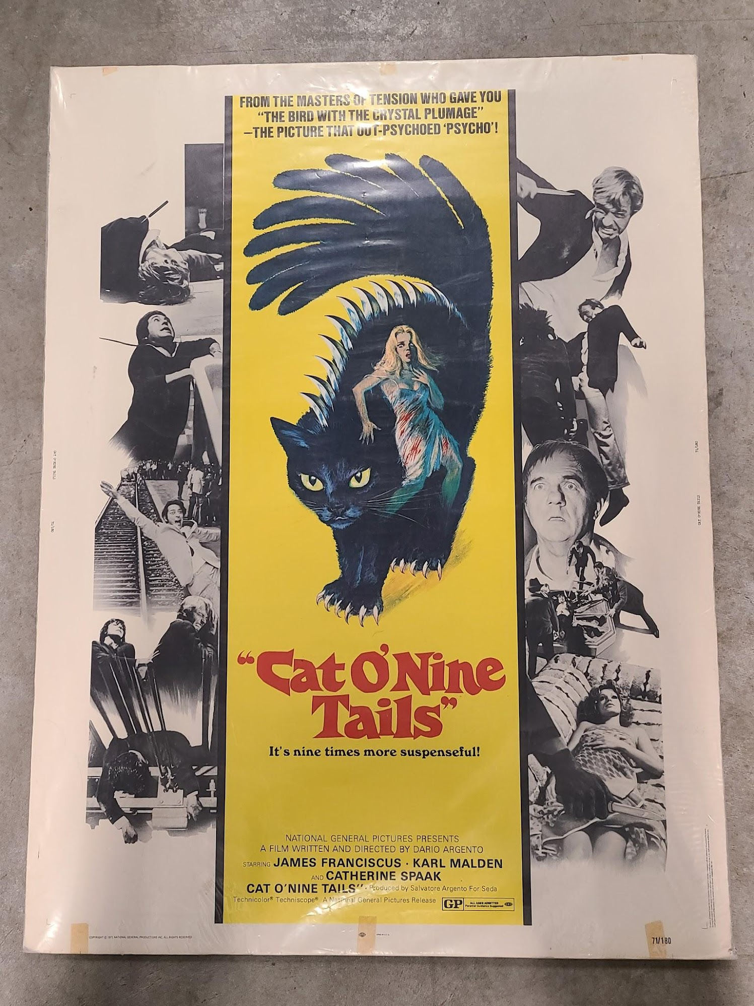 Cat O' Nine Tails 1970 UK/US 30x40
