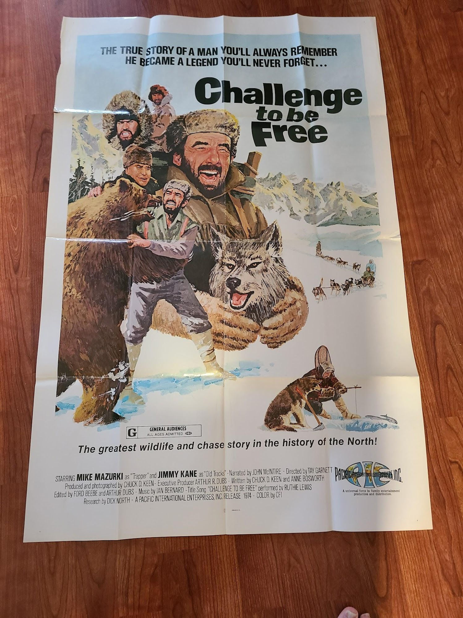 Challenge To Be Free 1975 1 Sheets/US