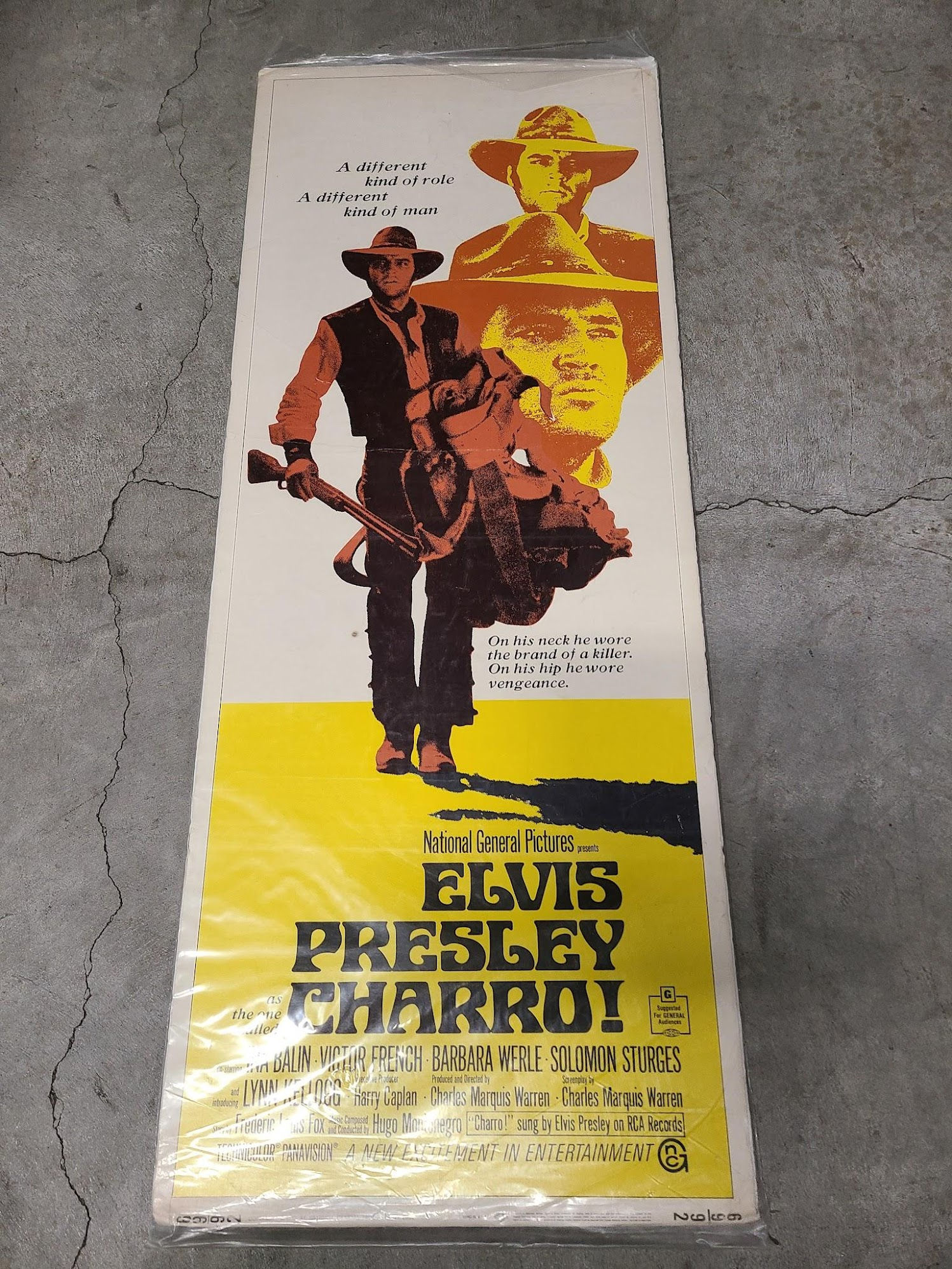 Charro 1969 Inserts