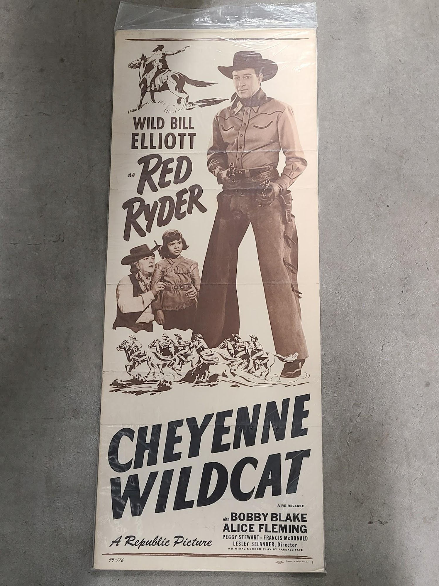 Cheyenne Wildcat 1944 Inserts
