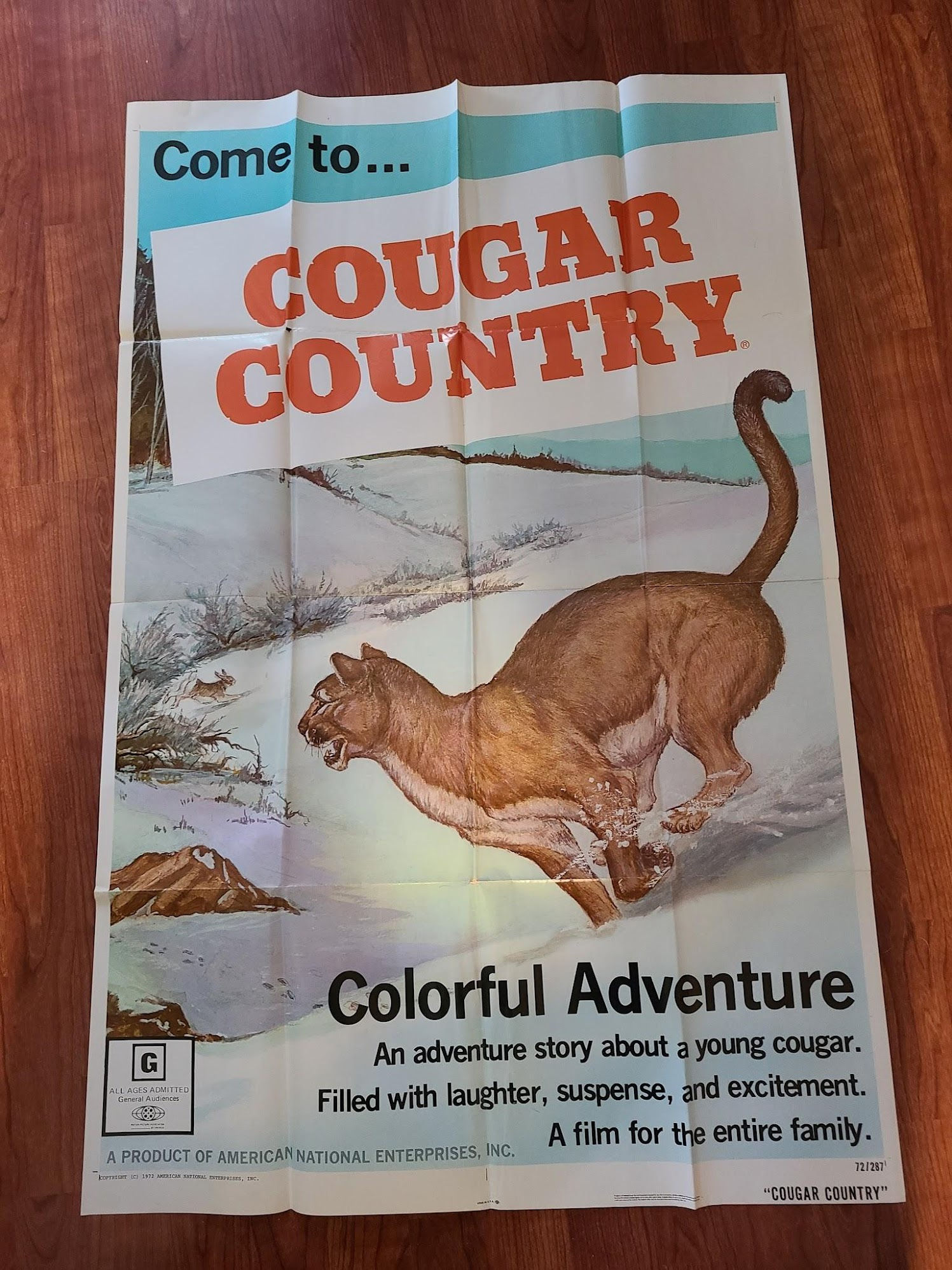 Cougar Country 1972 1 Sheets/US