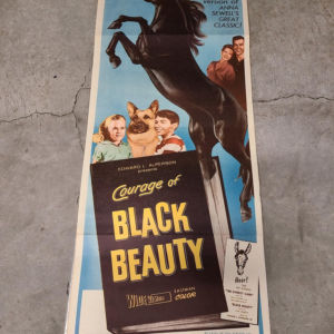 Courage Of Black Beauty 1957 Inserts