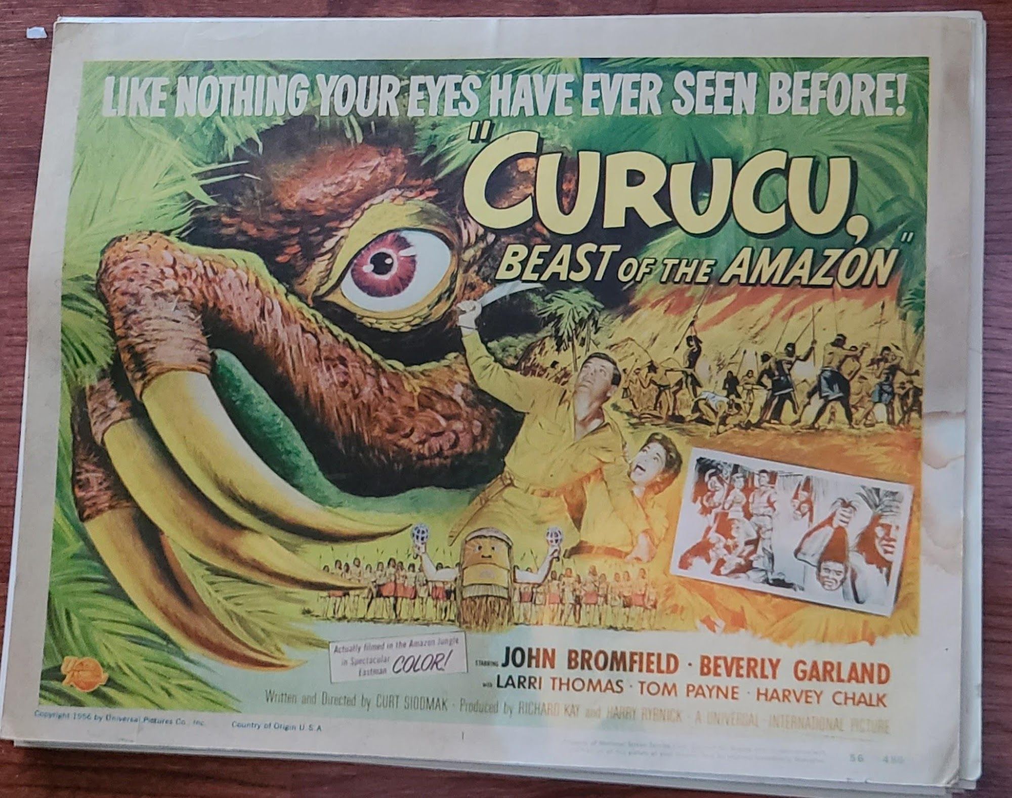 Curucu