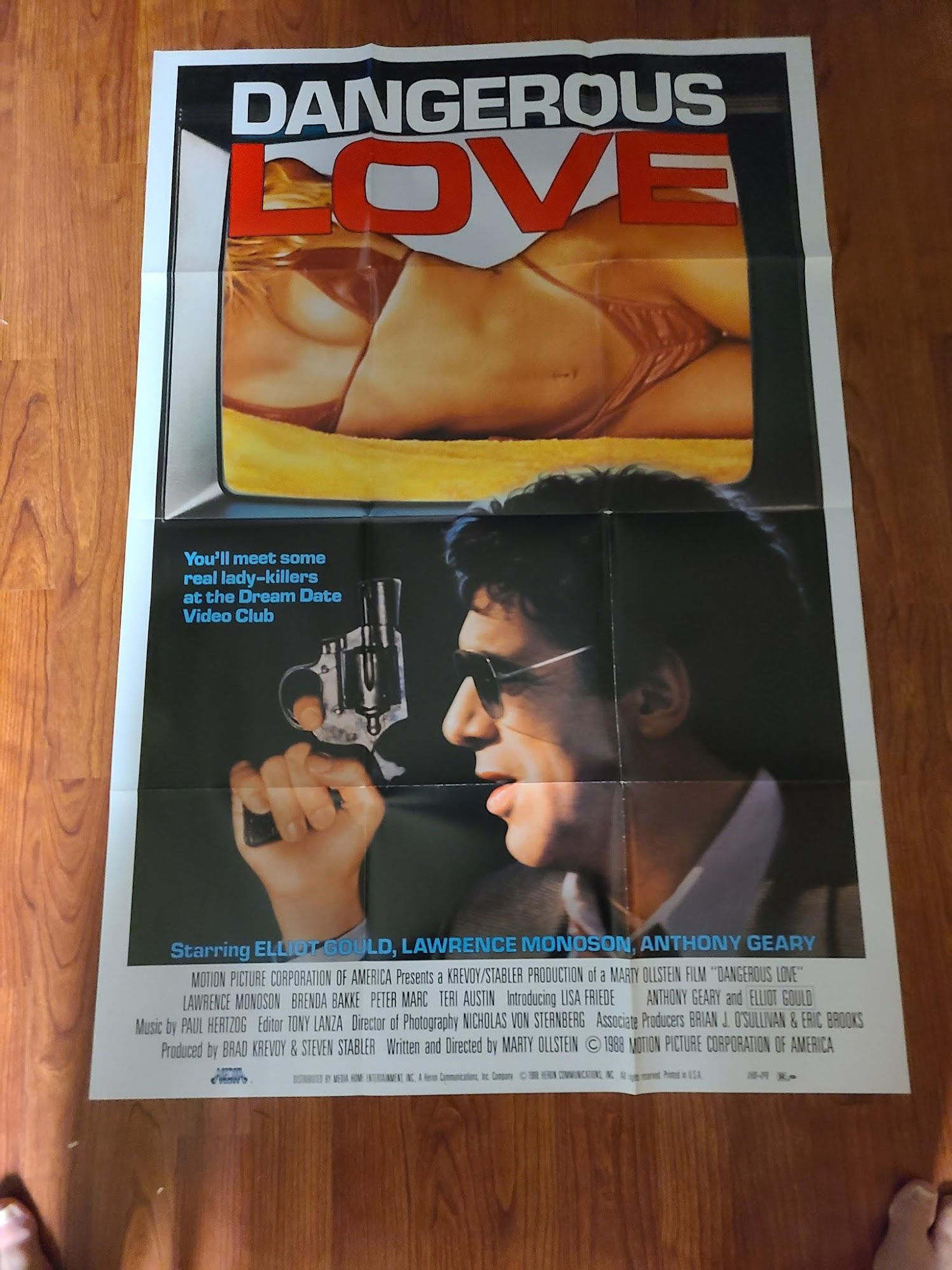 Dangerous Love 1988 1 Sheets/US