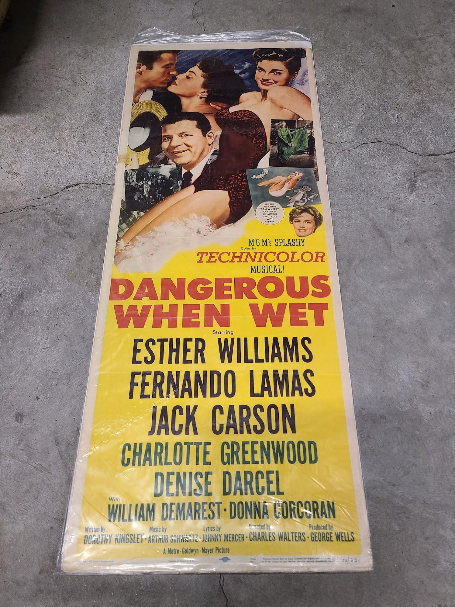 Dangerous When Wet 1953 Inserts