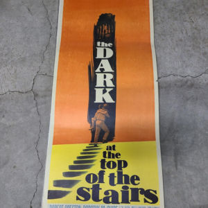 Dark At The Top Of The Stairs 1960 Inserts