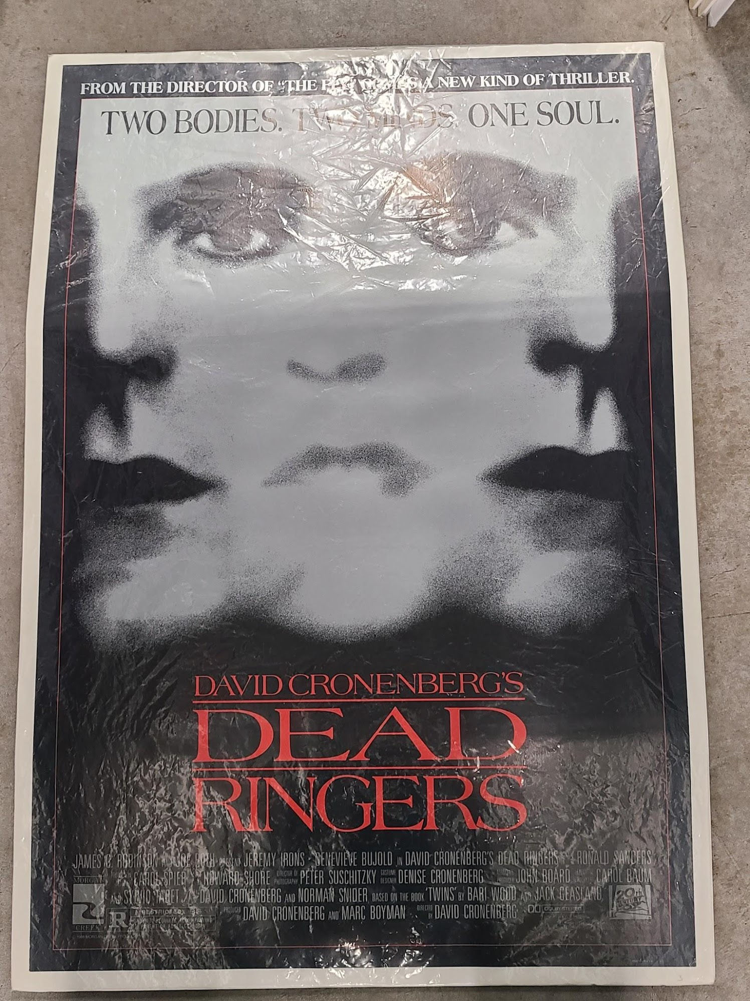 Dead Ringers 1988 UK/US 30x40