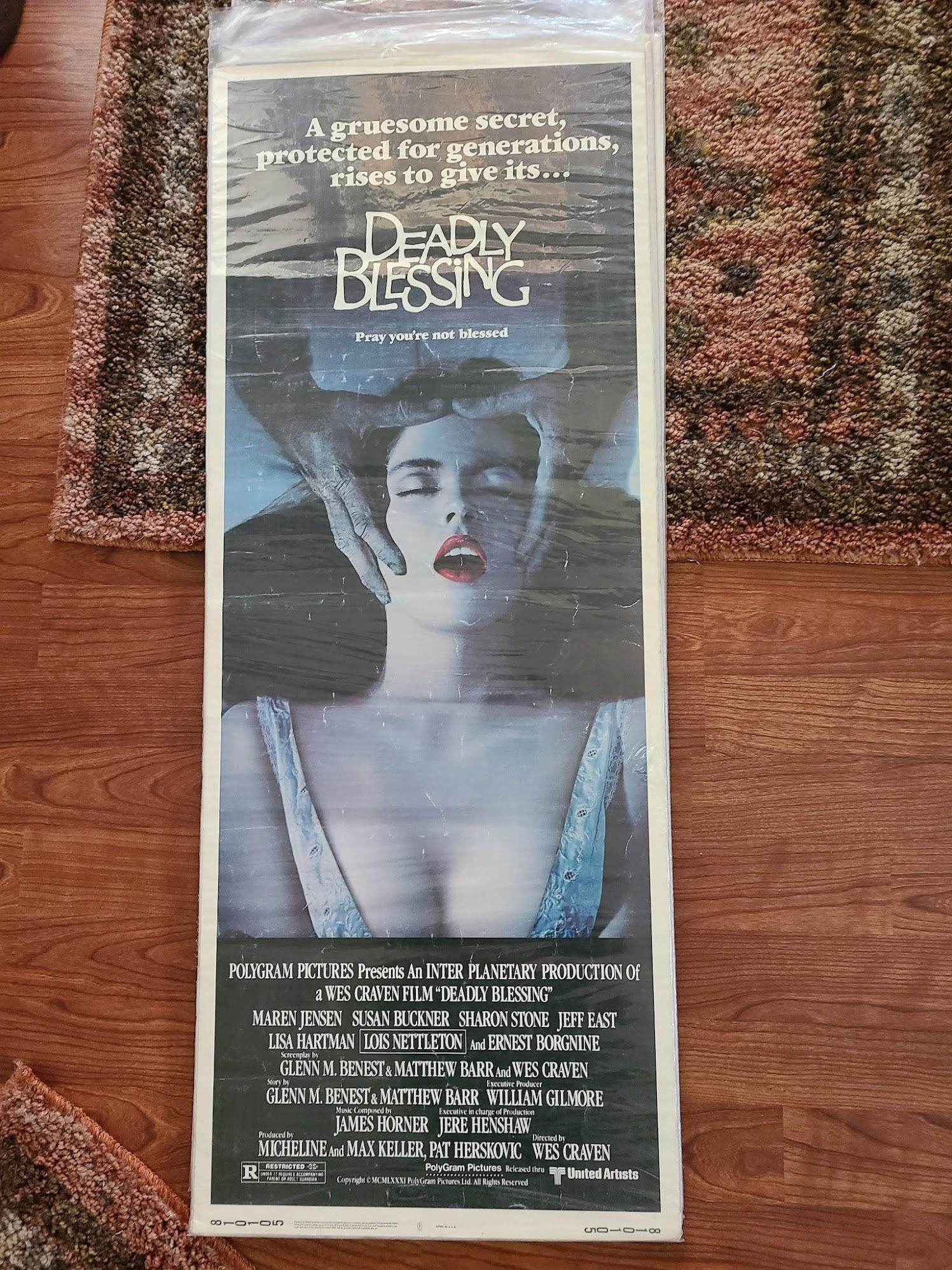 Deadly Blessing 1981 Inserts
