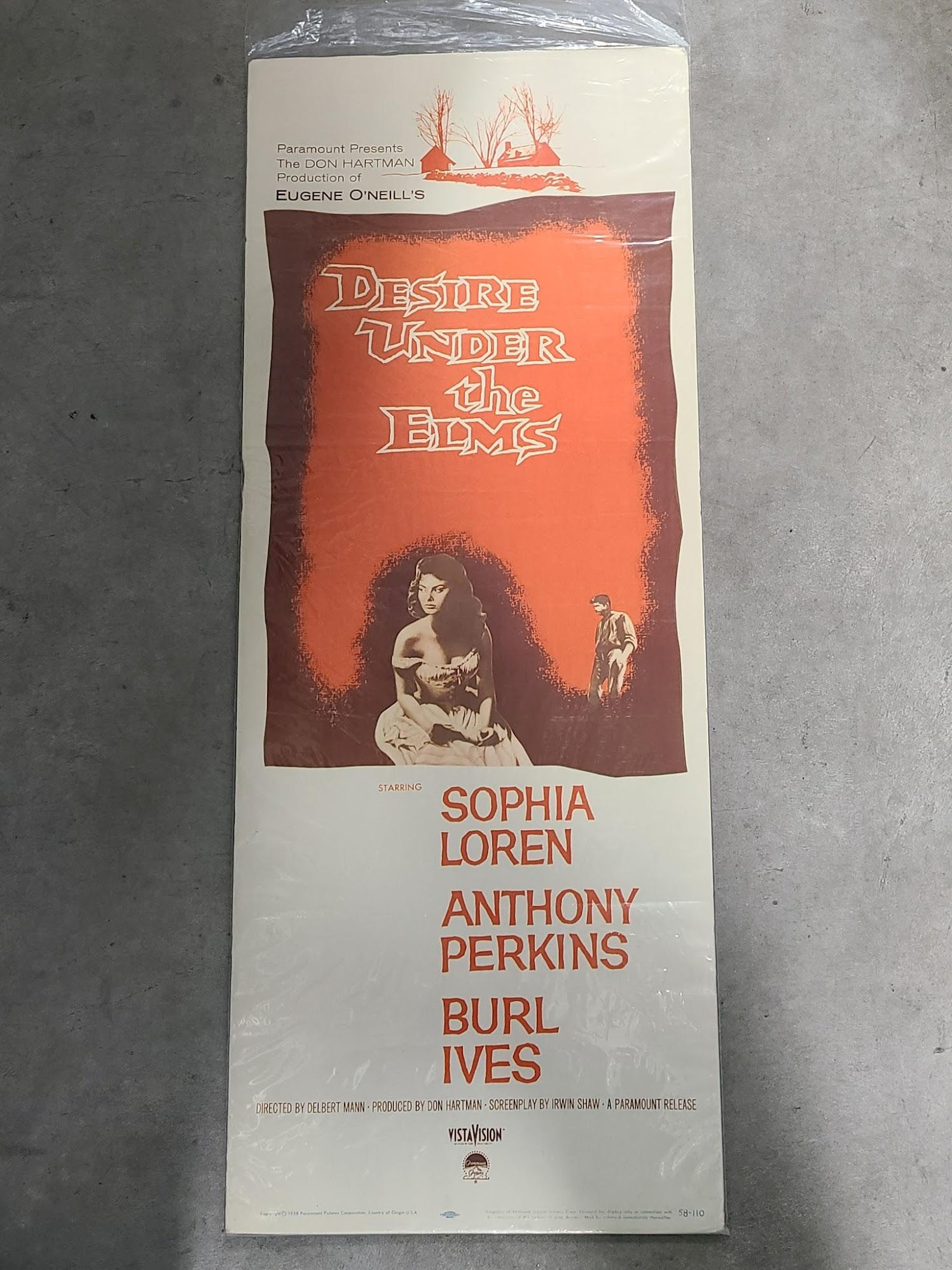 Desire Under the Elms 1958 Inserts