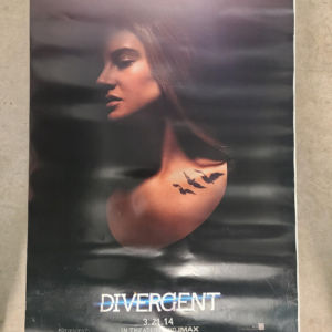 Divergent 2014 1 Sheets/US