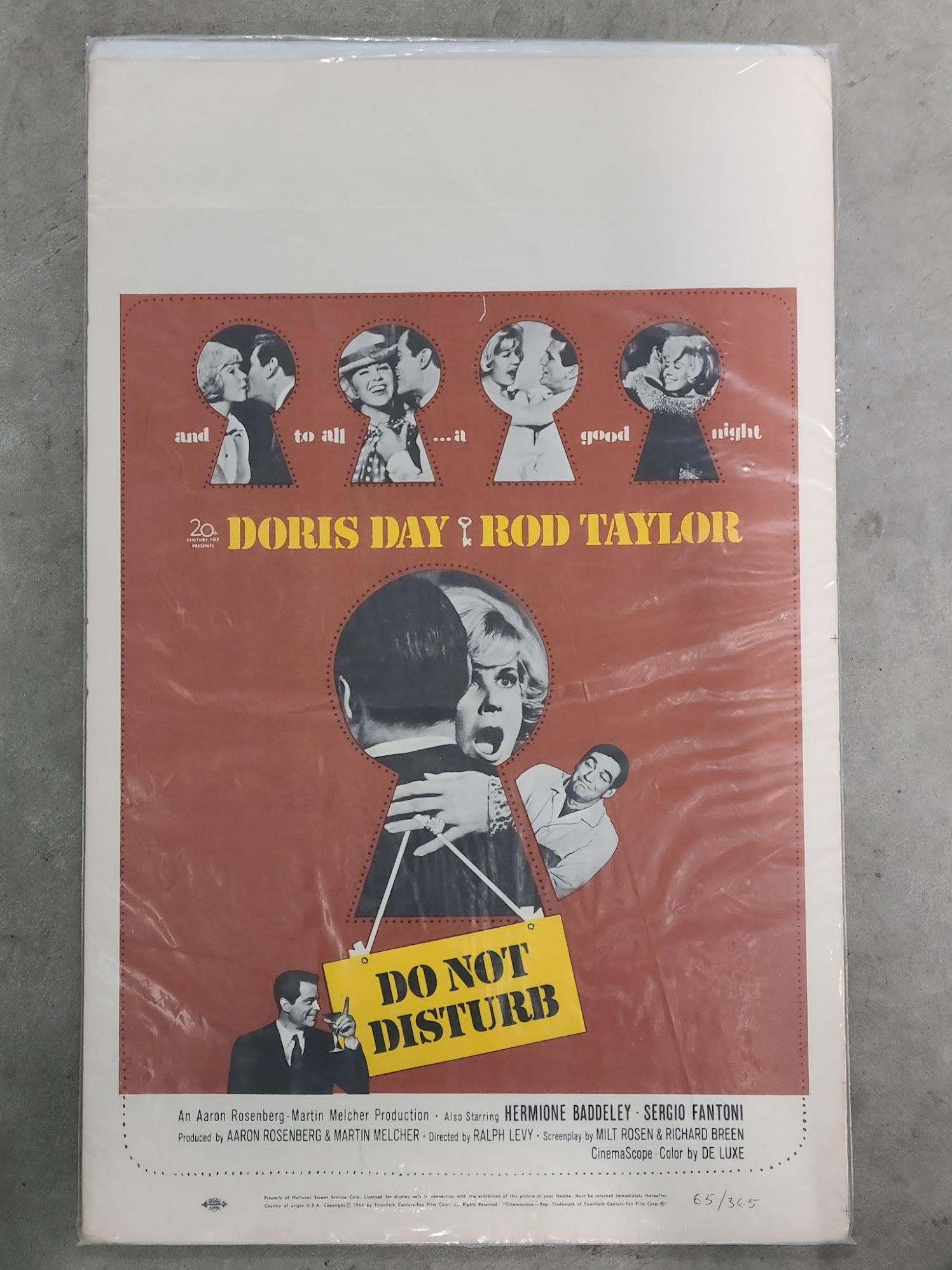Do Not Disturb 1965 Window Cards