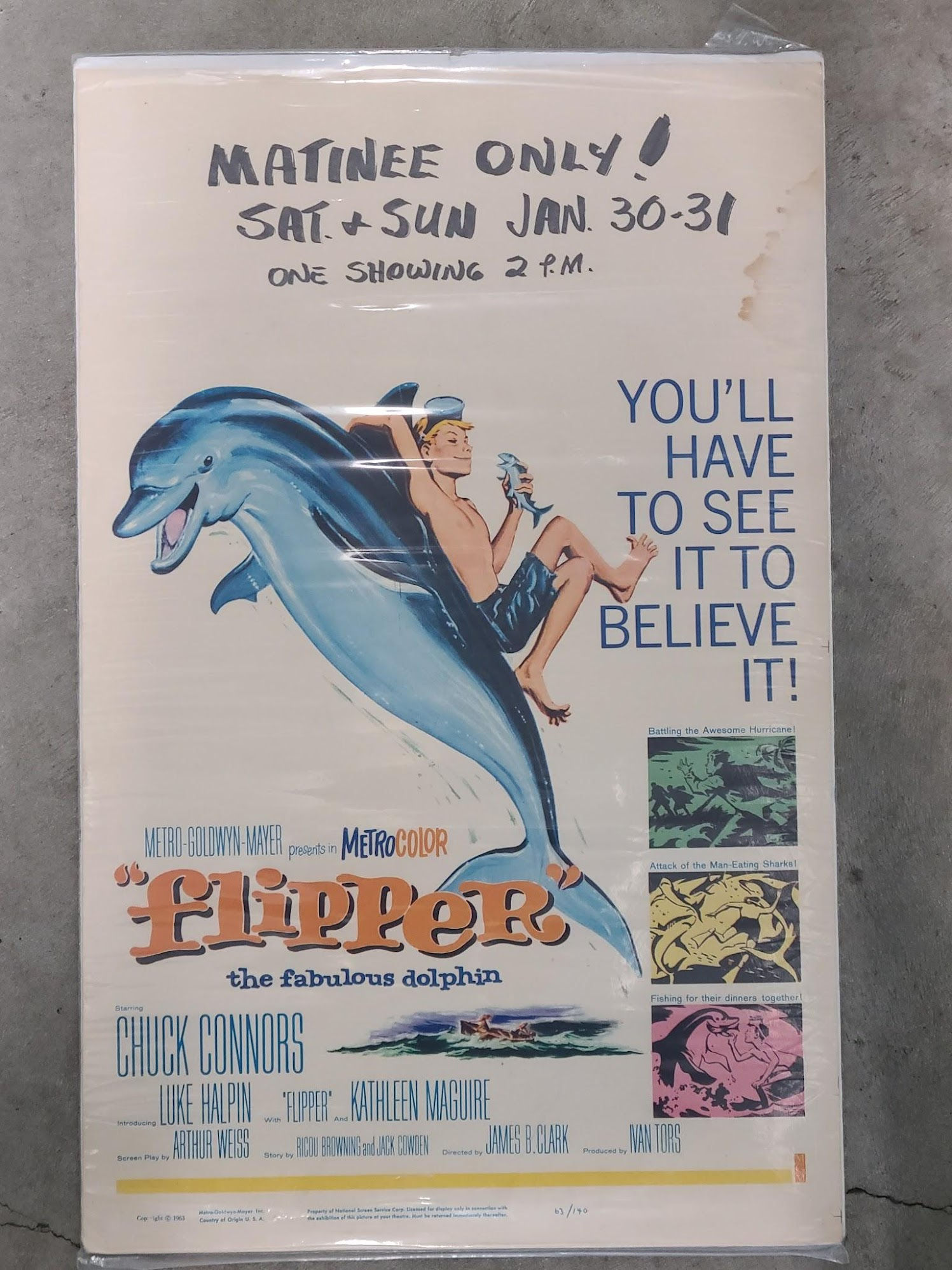 Flipper 1963 Window Cards