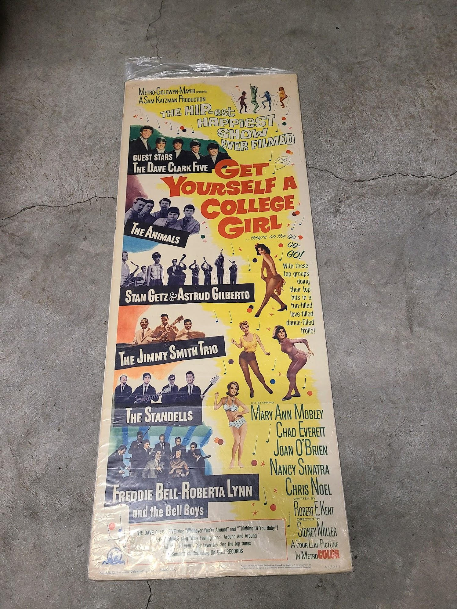 Get Youself a College Girl 1964 Inserts
