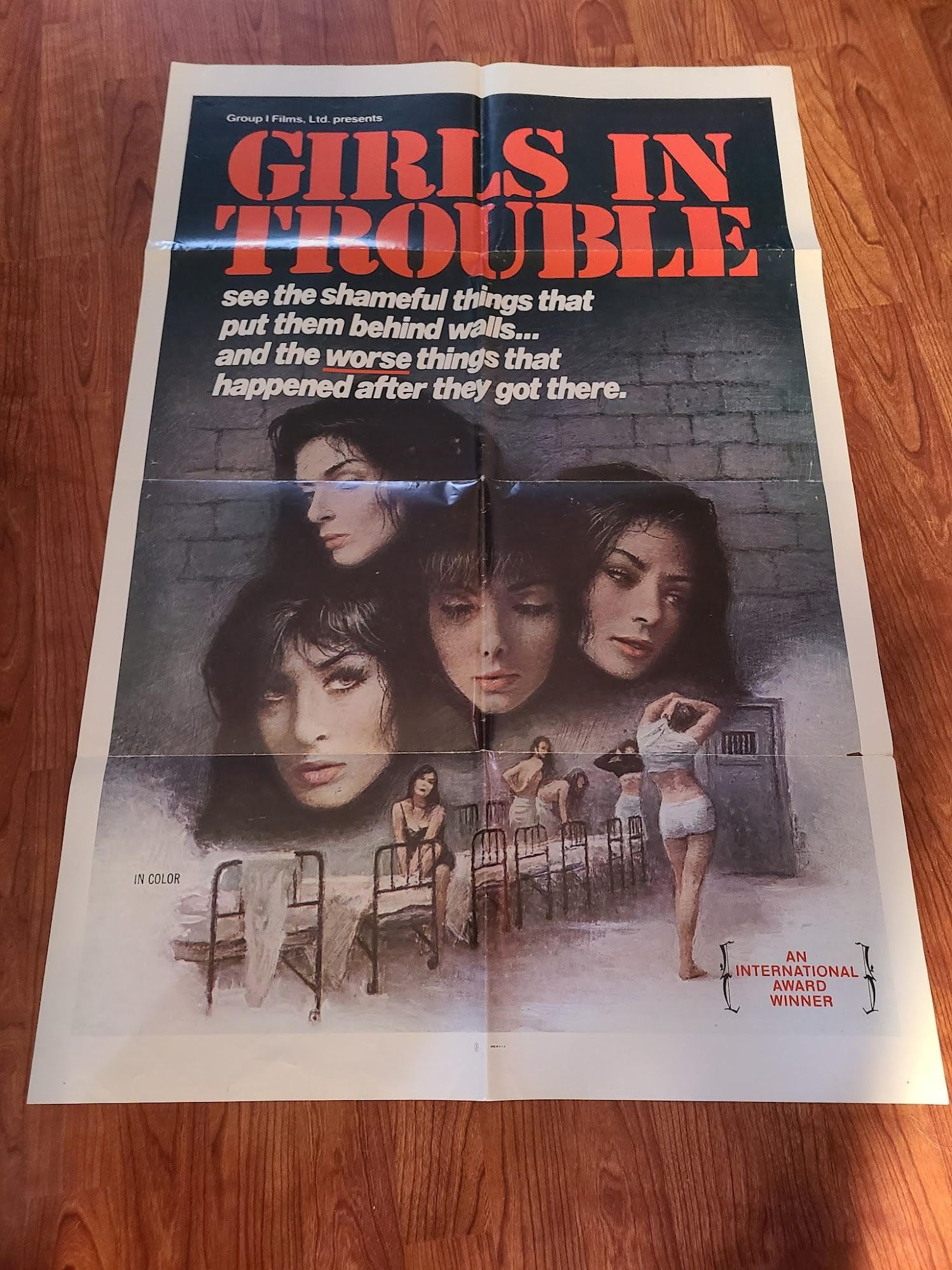 Girls In Trouble 1975 1 Sheets/US