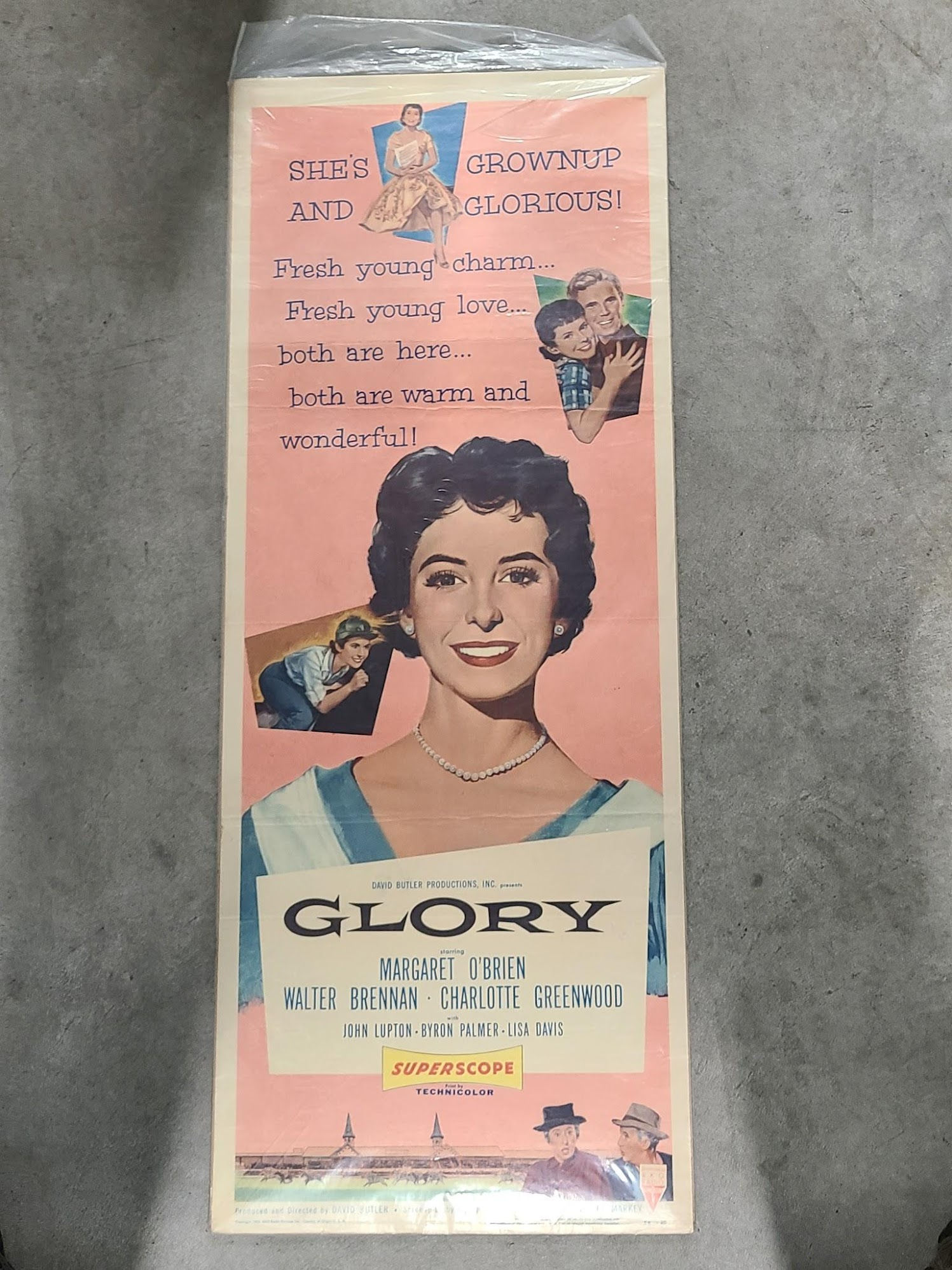 Glory 1956 Inserts