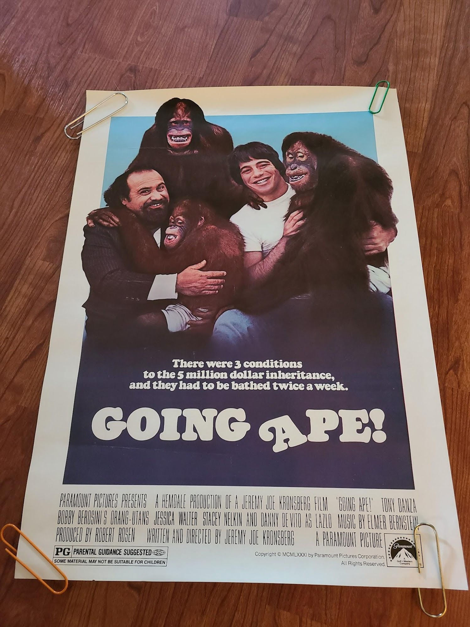 Going Ape 1981 Window Cards