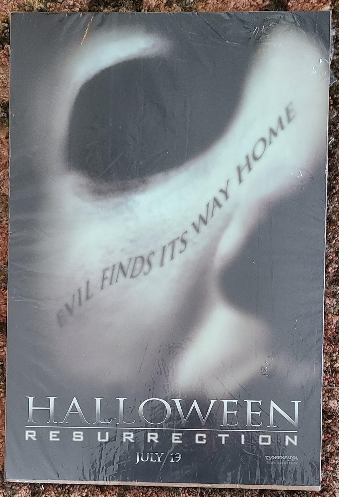 Halloween Resurrection 2002 Window Cards