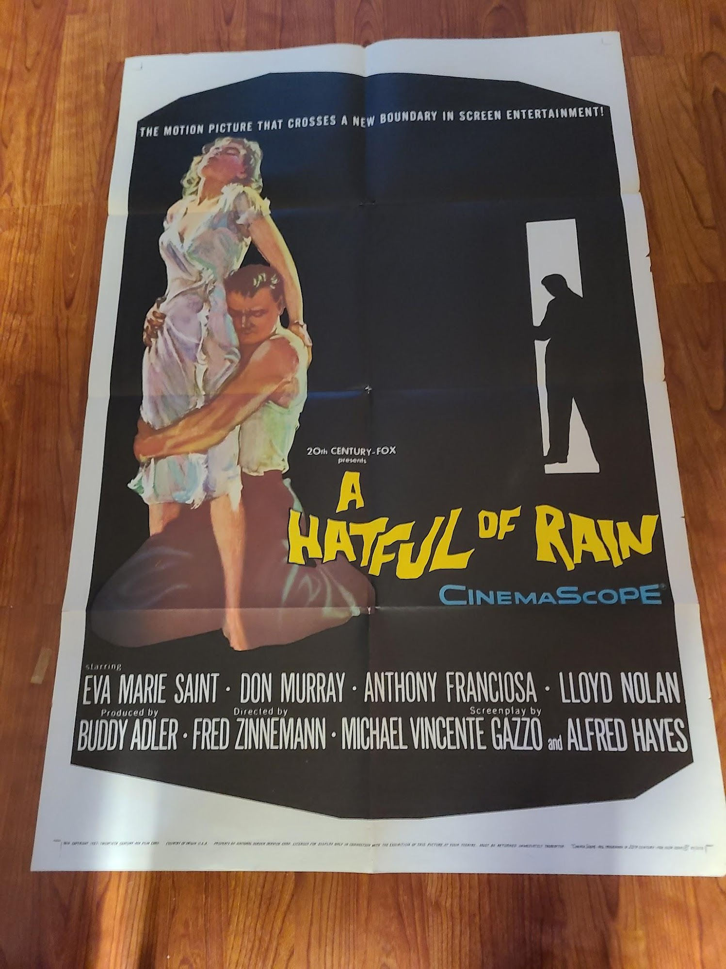 Hatful Of Rain 1957 1 Sheets/US