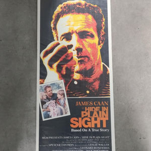 Hide In Plain Sight 1980 Inserts