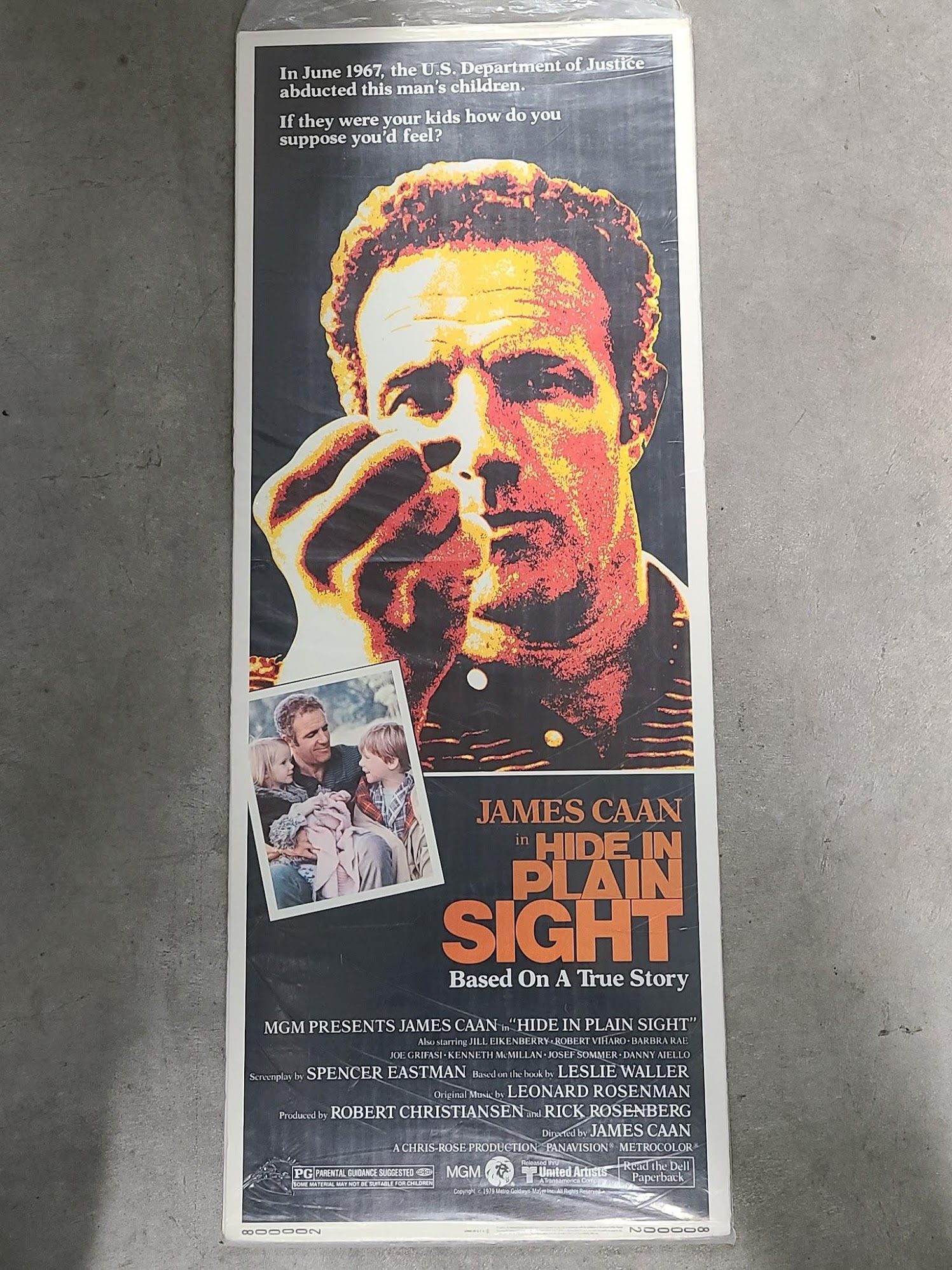 Hide In Plain Sight 1980 Inserts