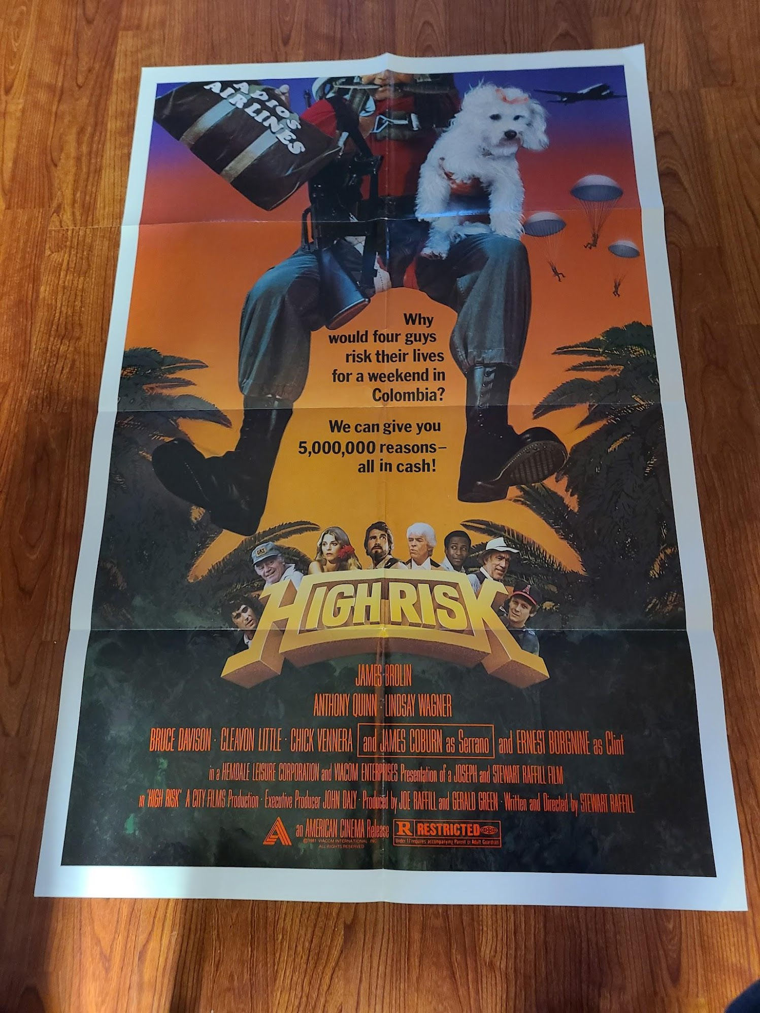 High Risk 1981 1 Sheets/US
