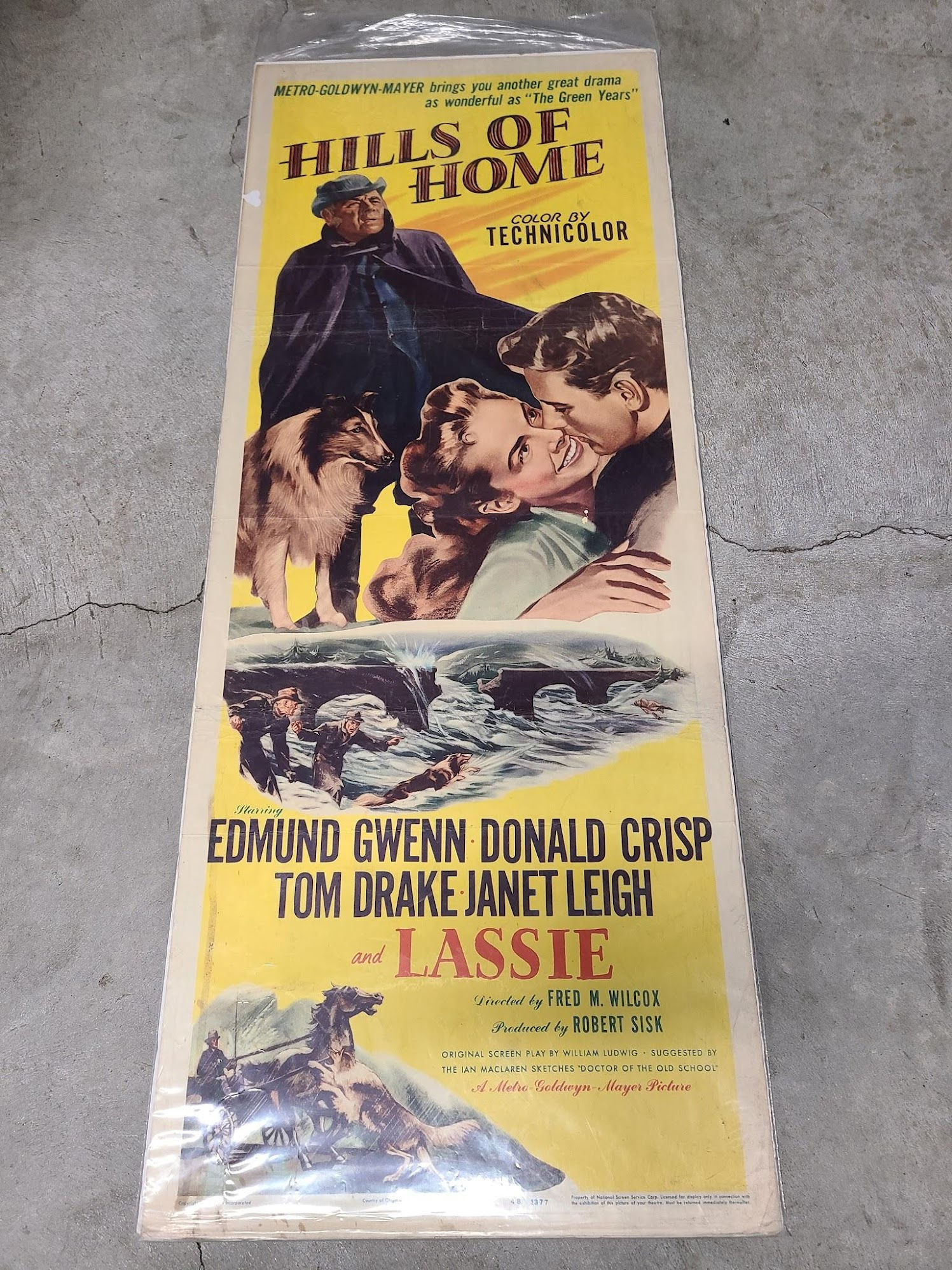 Hills Of Home 1948 Inserts