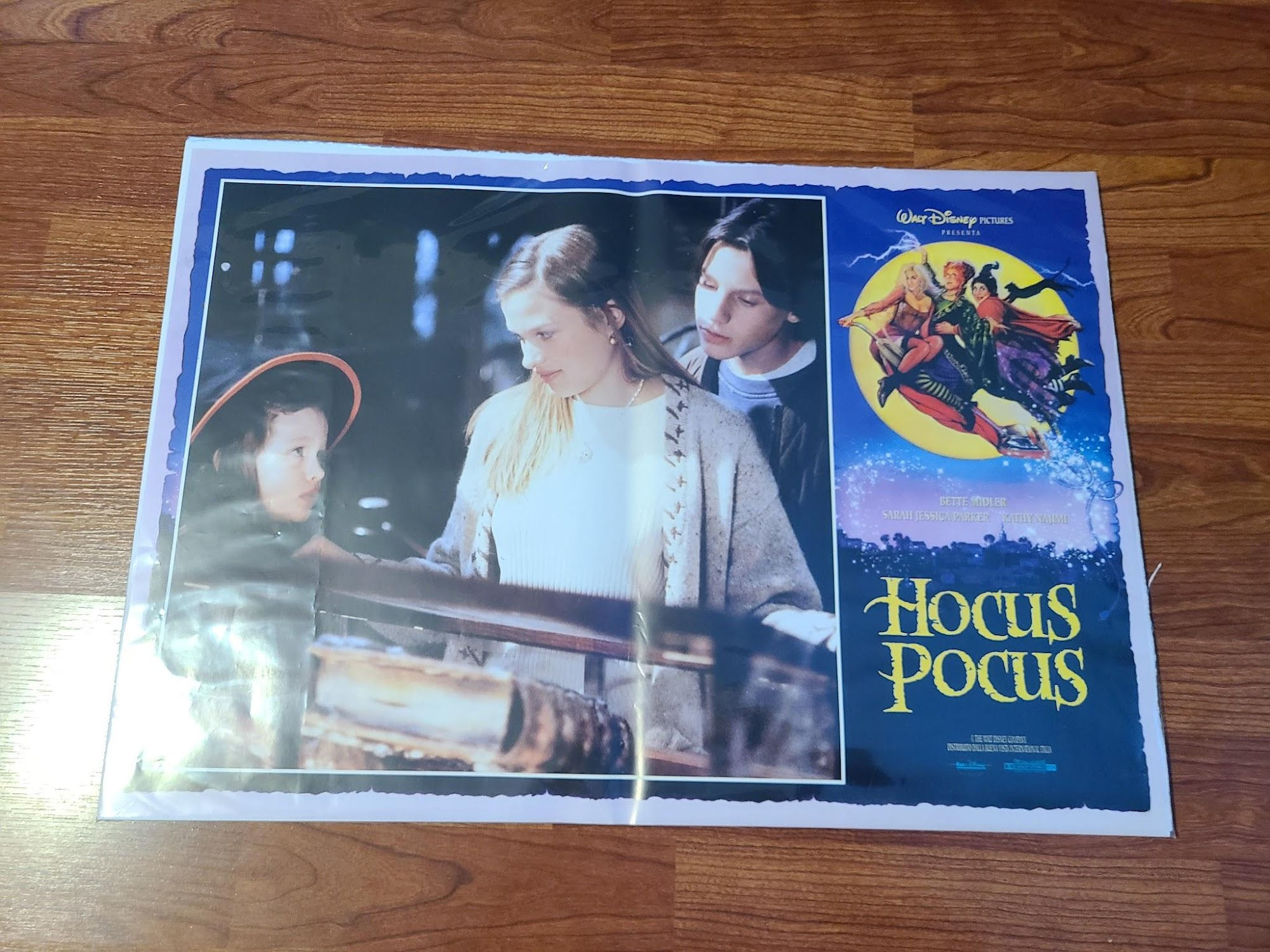Hocus Pocus 1993 Fotobusta