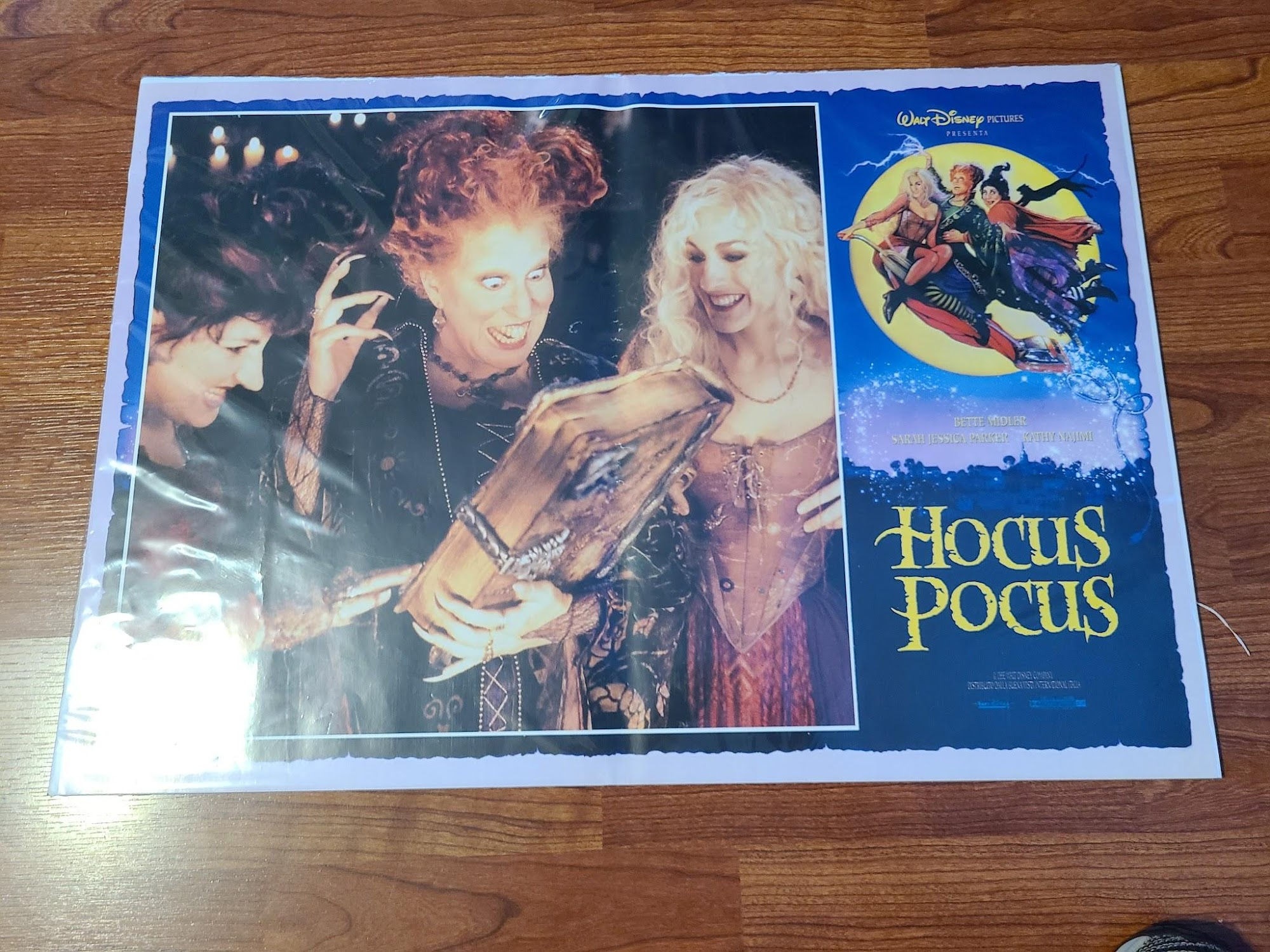 Hocus Pocus 1993 Fotobusta