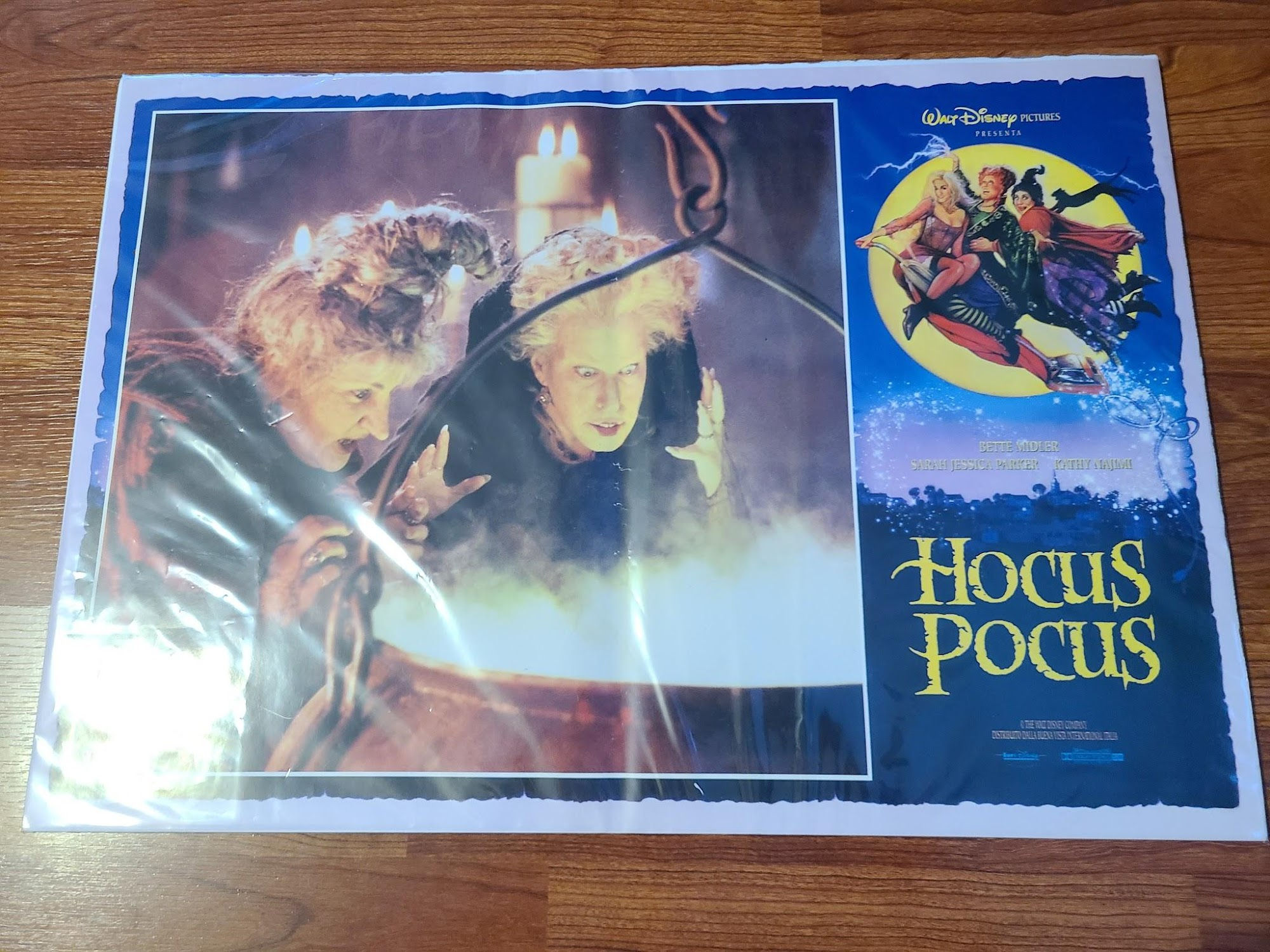 Hocus Pocus 1993 Fotobusta