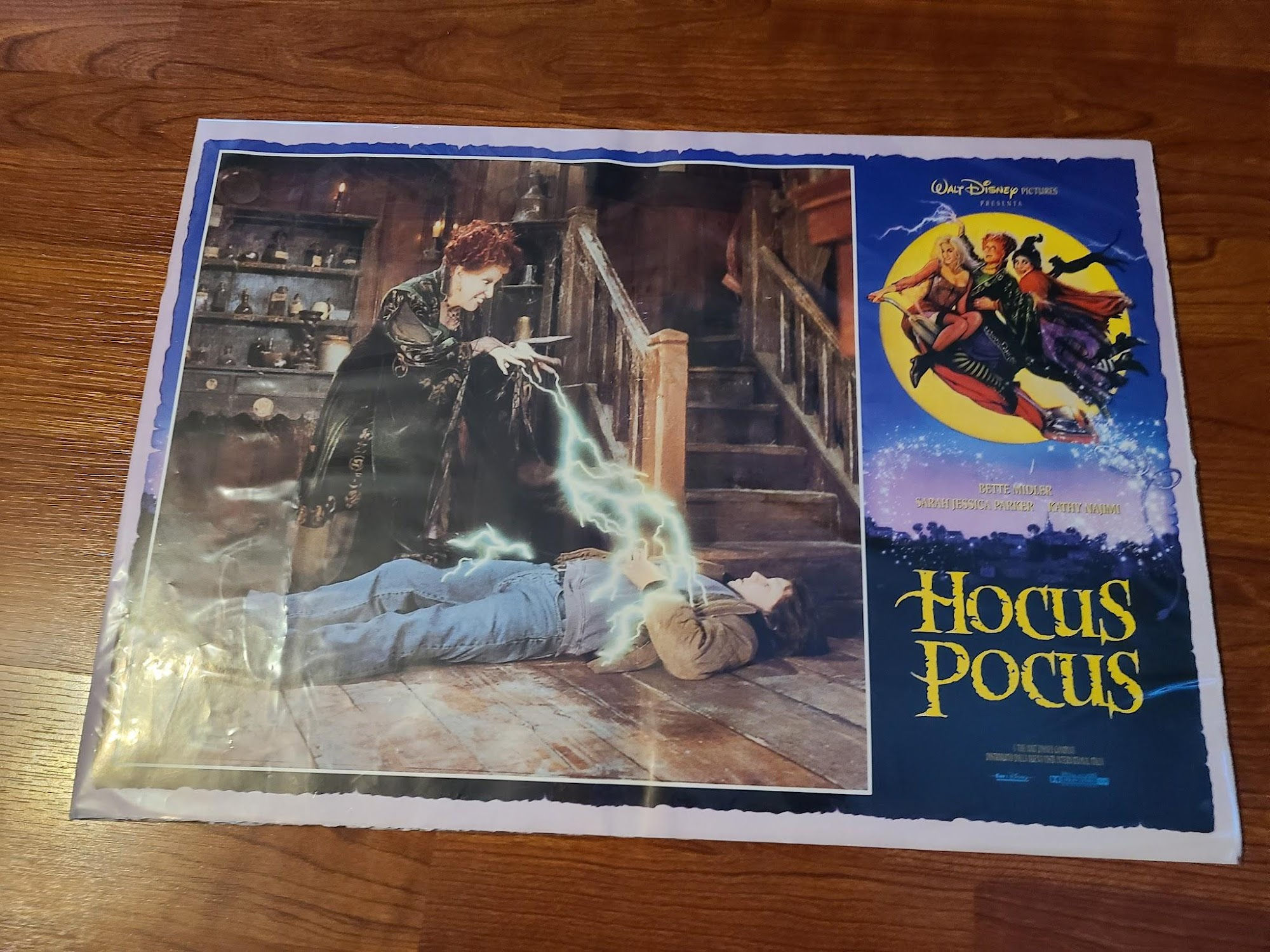Hocus Pocus 1993 Fotobusta