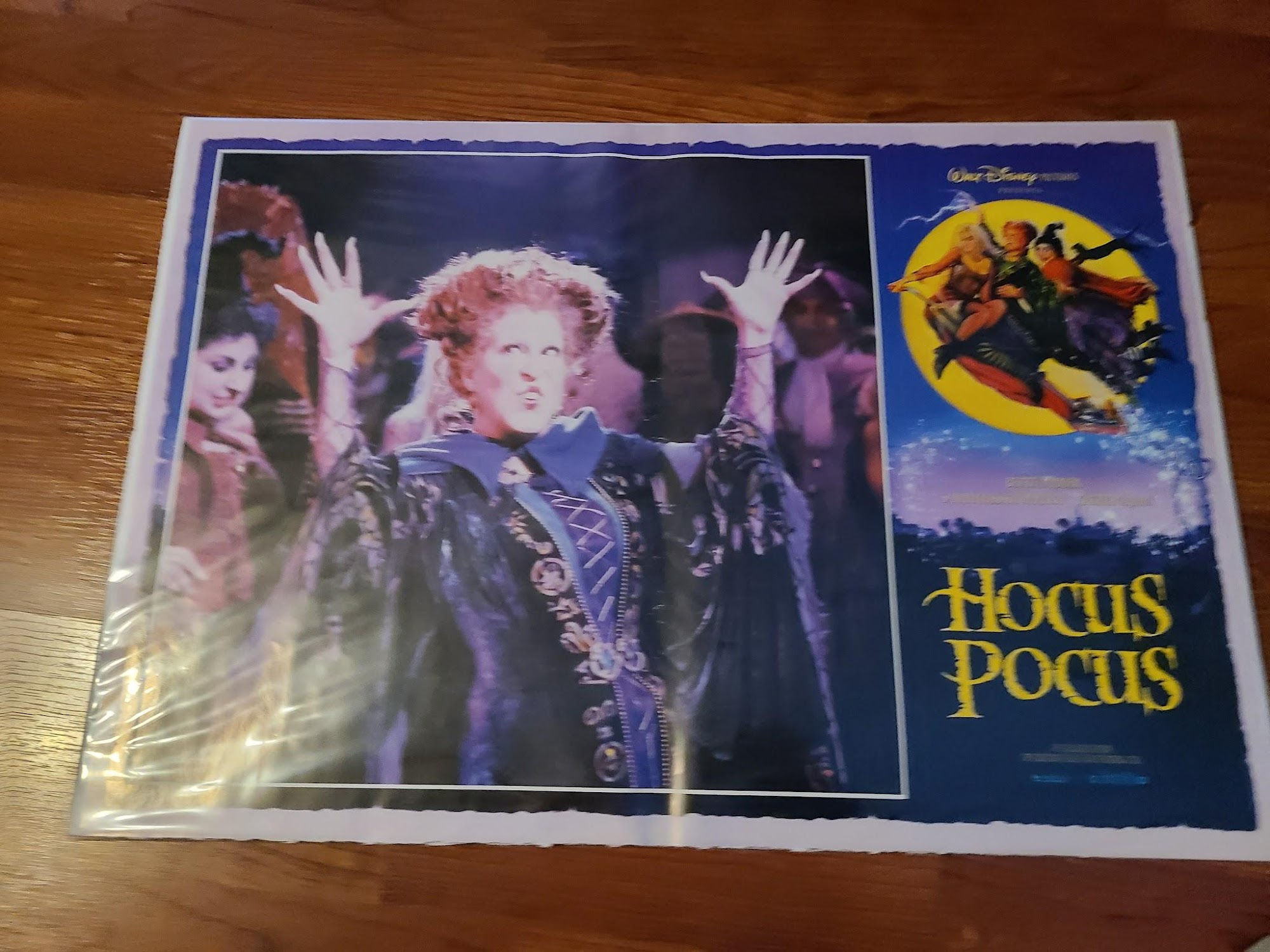 Hocus Pocus 1993 Fotobusta