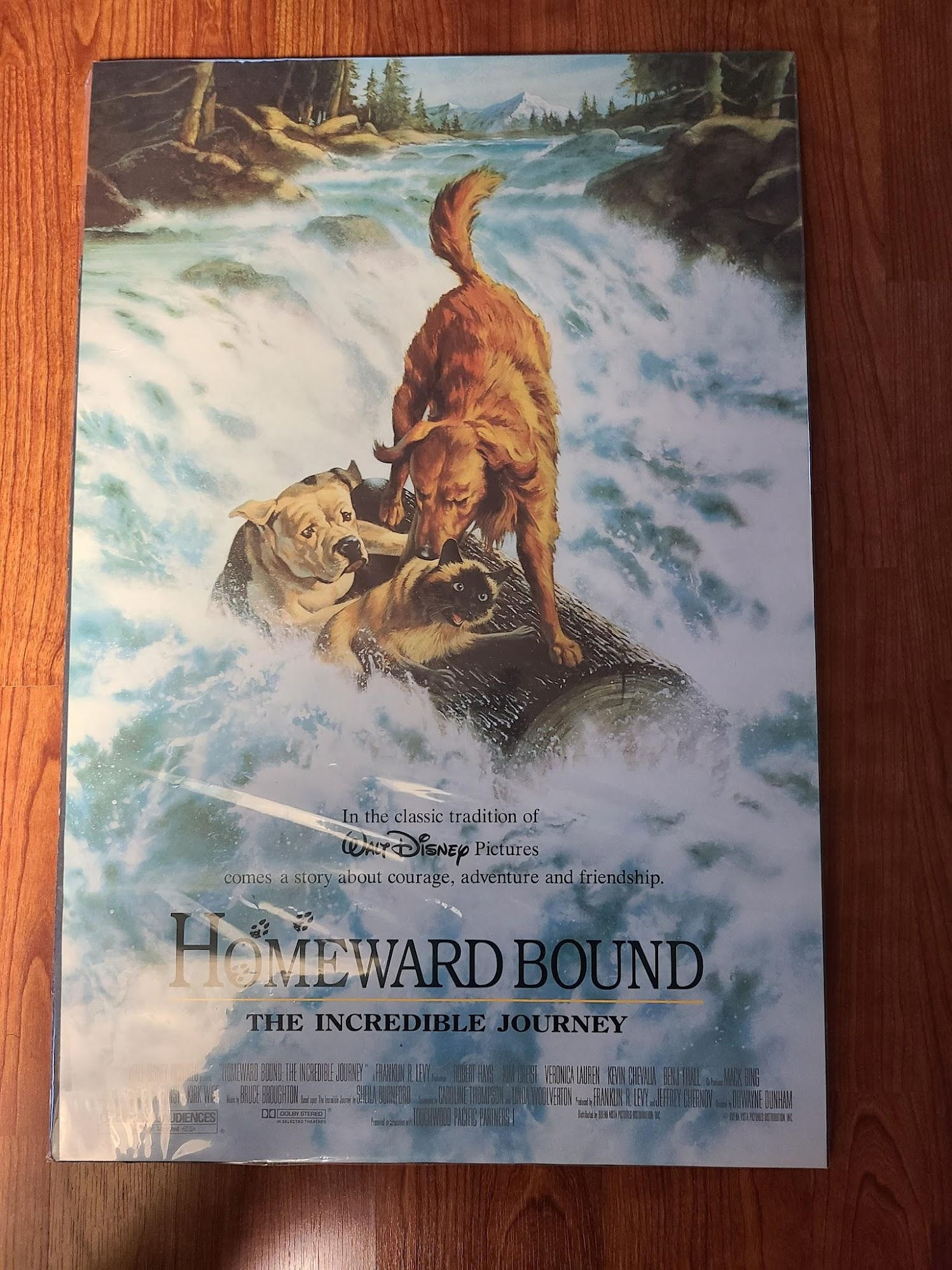 Homeward Bound: The Incredible Journey 1993 Window Cards