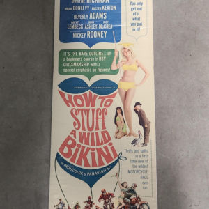 How To Stuff A Wild Bikini 1965 Inserts