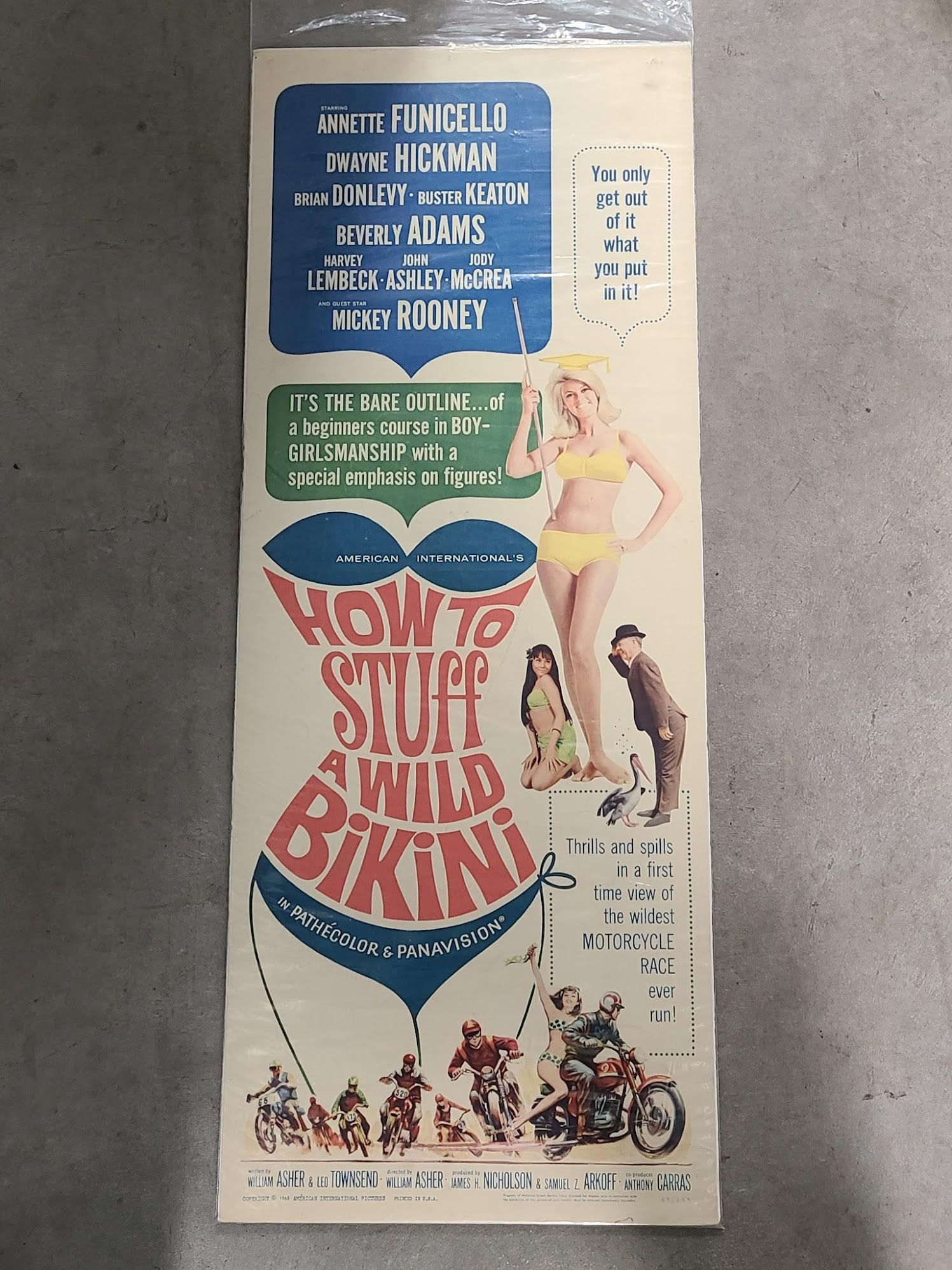 How To Stuff A Wild Bikini 1965 Inserts