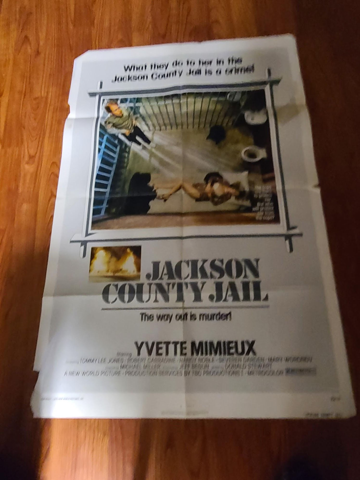 Jackson County Jail 1976 1 Sheets/US
