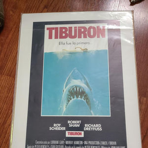 Jaws 1975 Window Cards