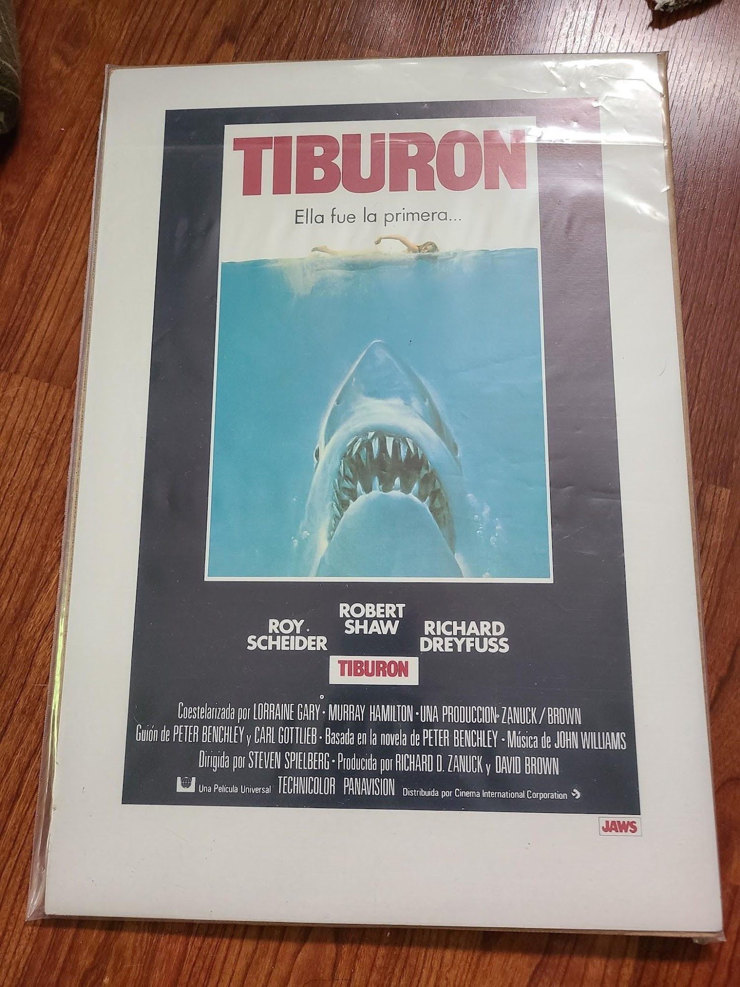 Jaws 1975 Window Cards